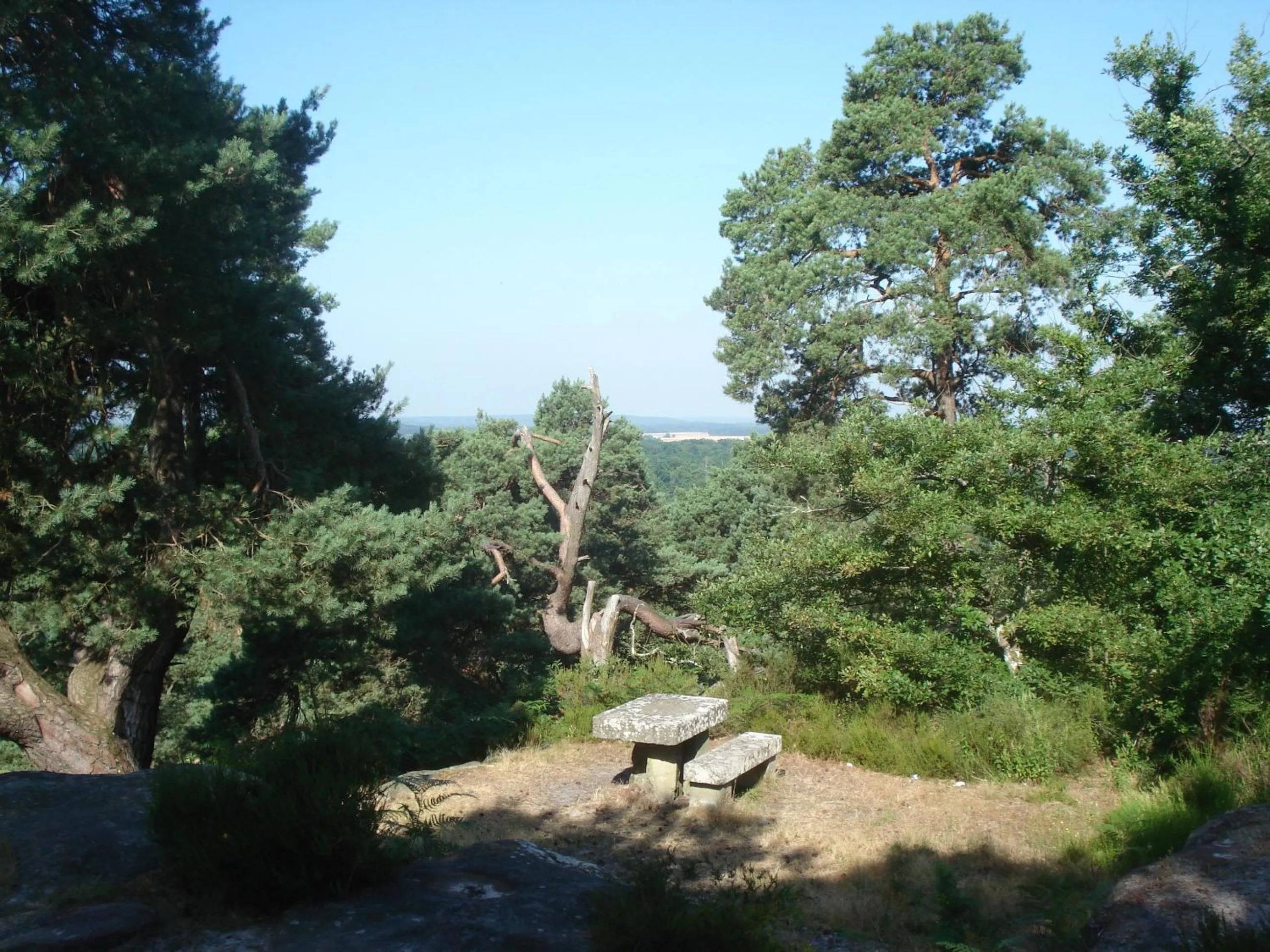 Nearby landmark in Les Prémices De La Forêt
