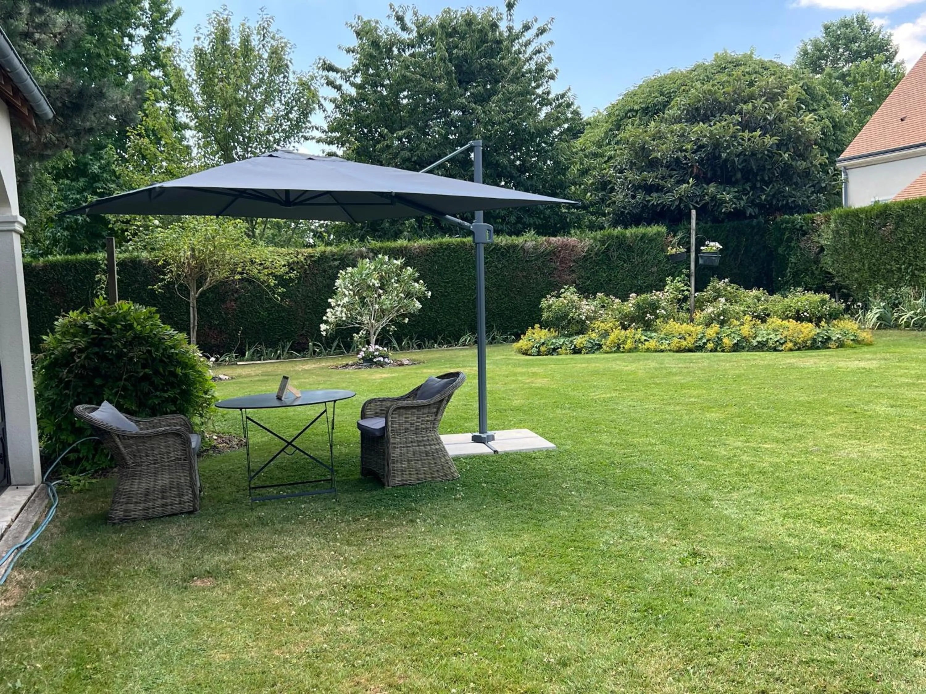 Garden in Les Prémices De La Forêt