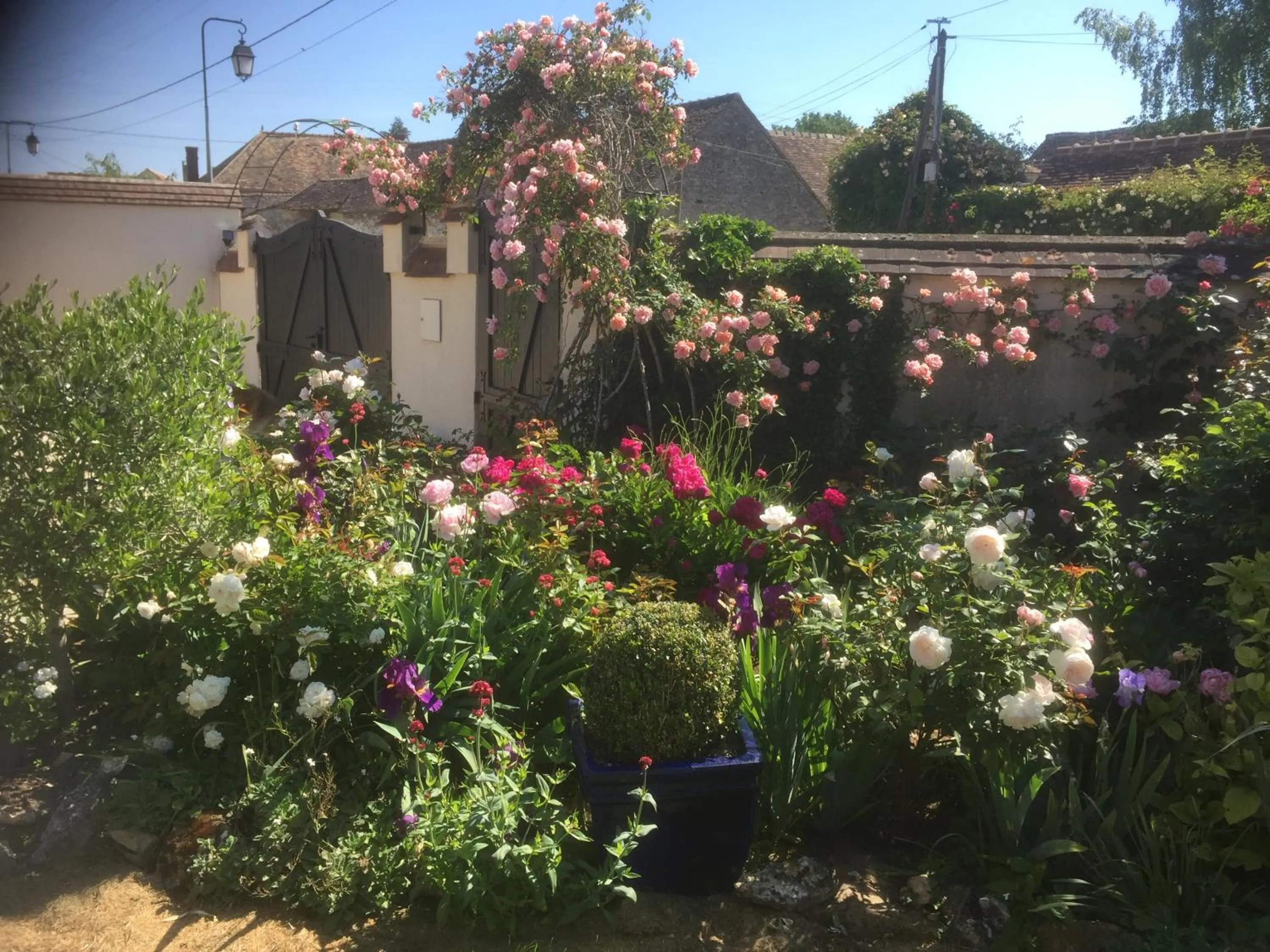 Garden view in Les Prémices De La Forêt