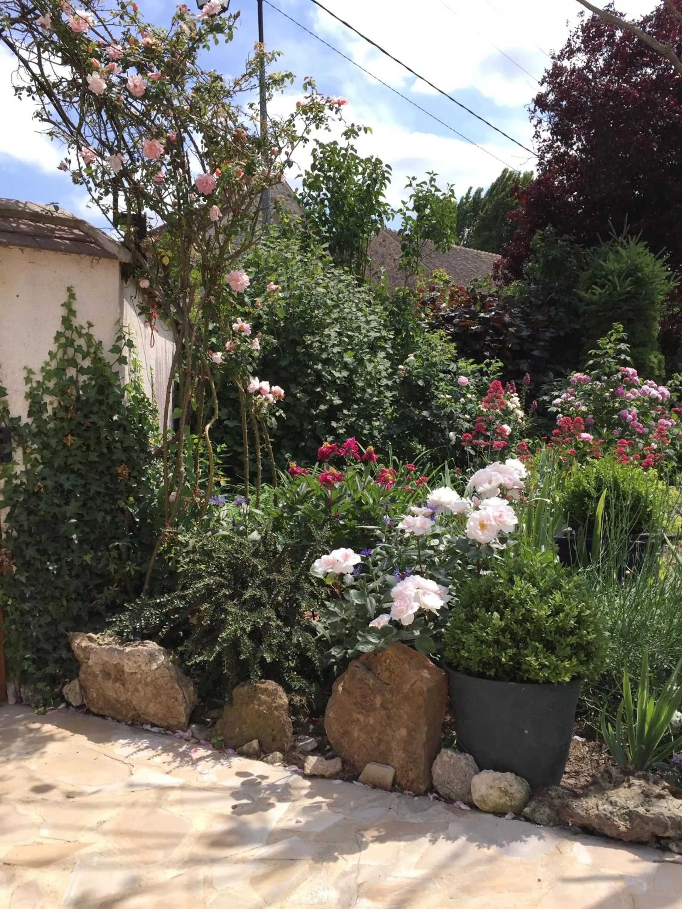 Garden view in Les Prémices De La Forêt