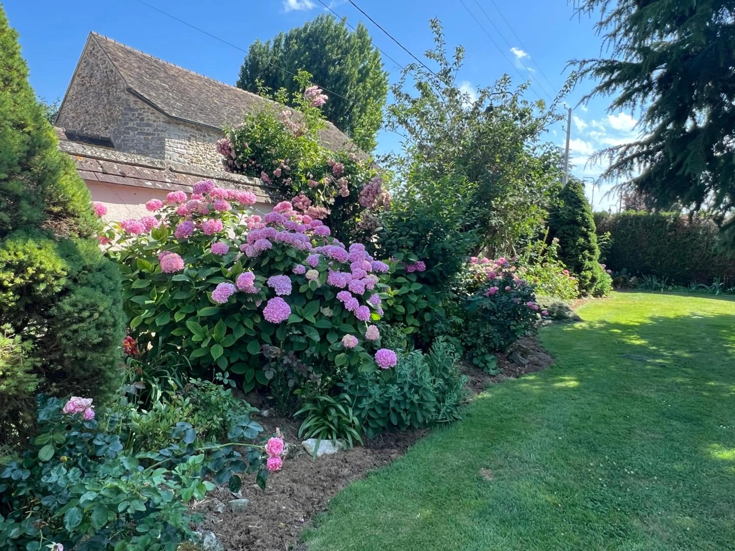Garden in Les Prémices De La Forêt