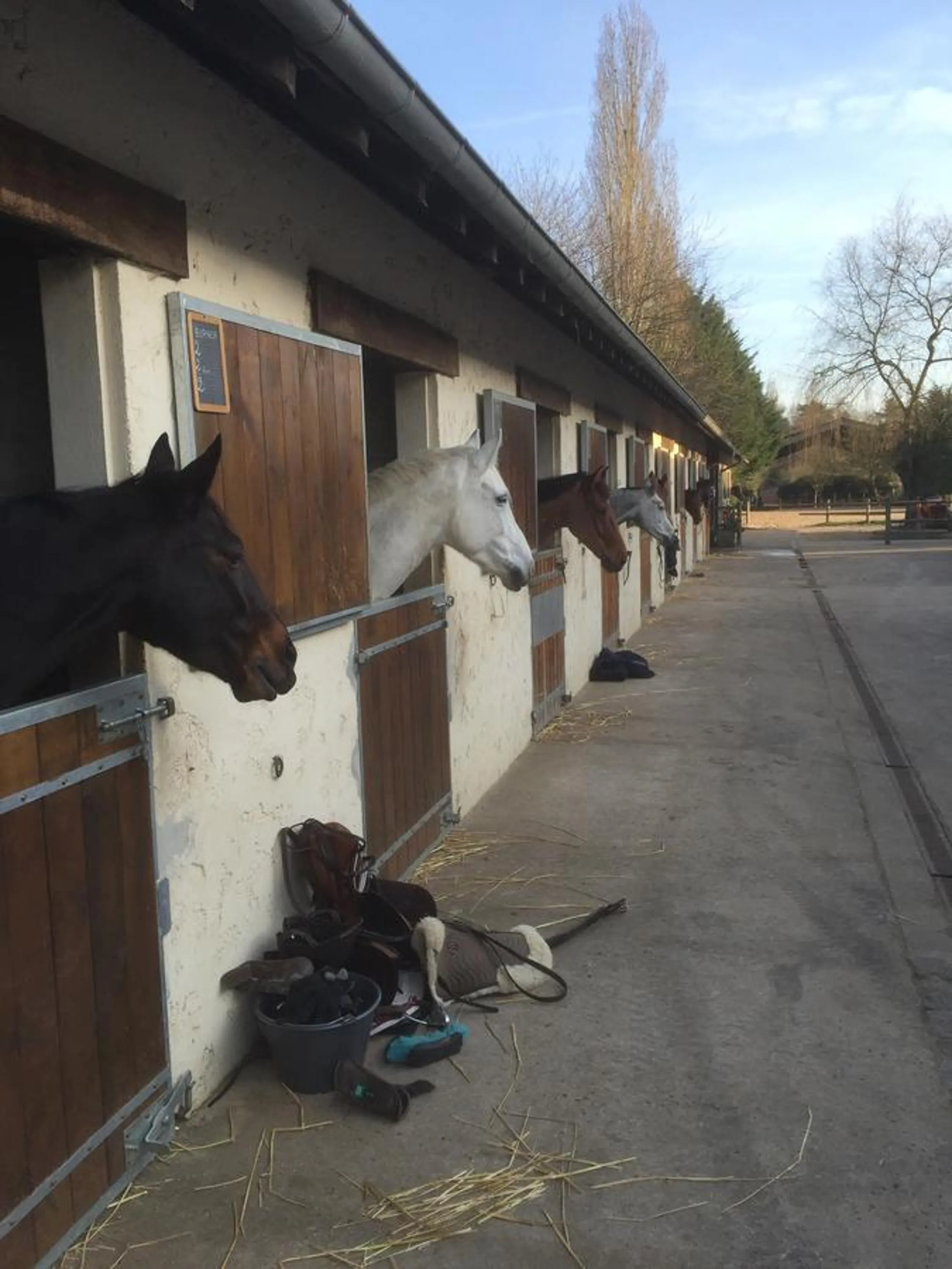 Nearby landmark in Les Prémices De La Forêt