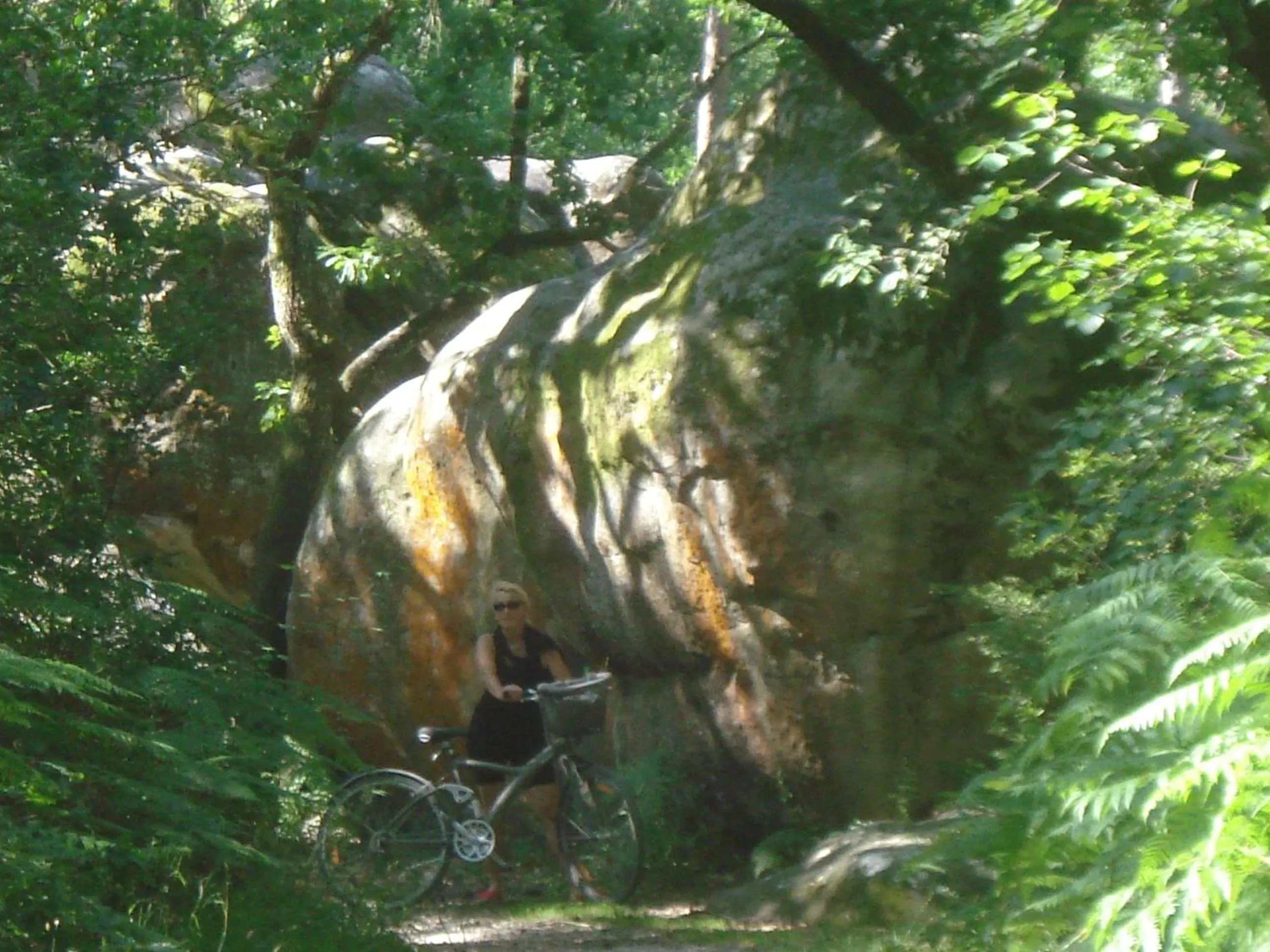 Nearby landmark in Les Prémices De La Forêt