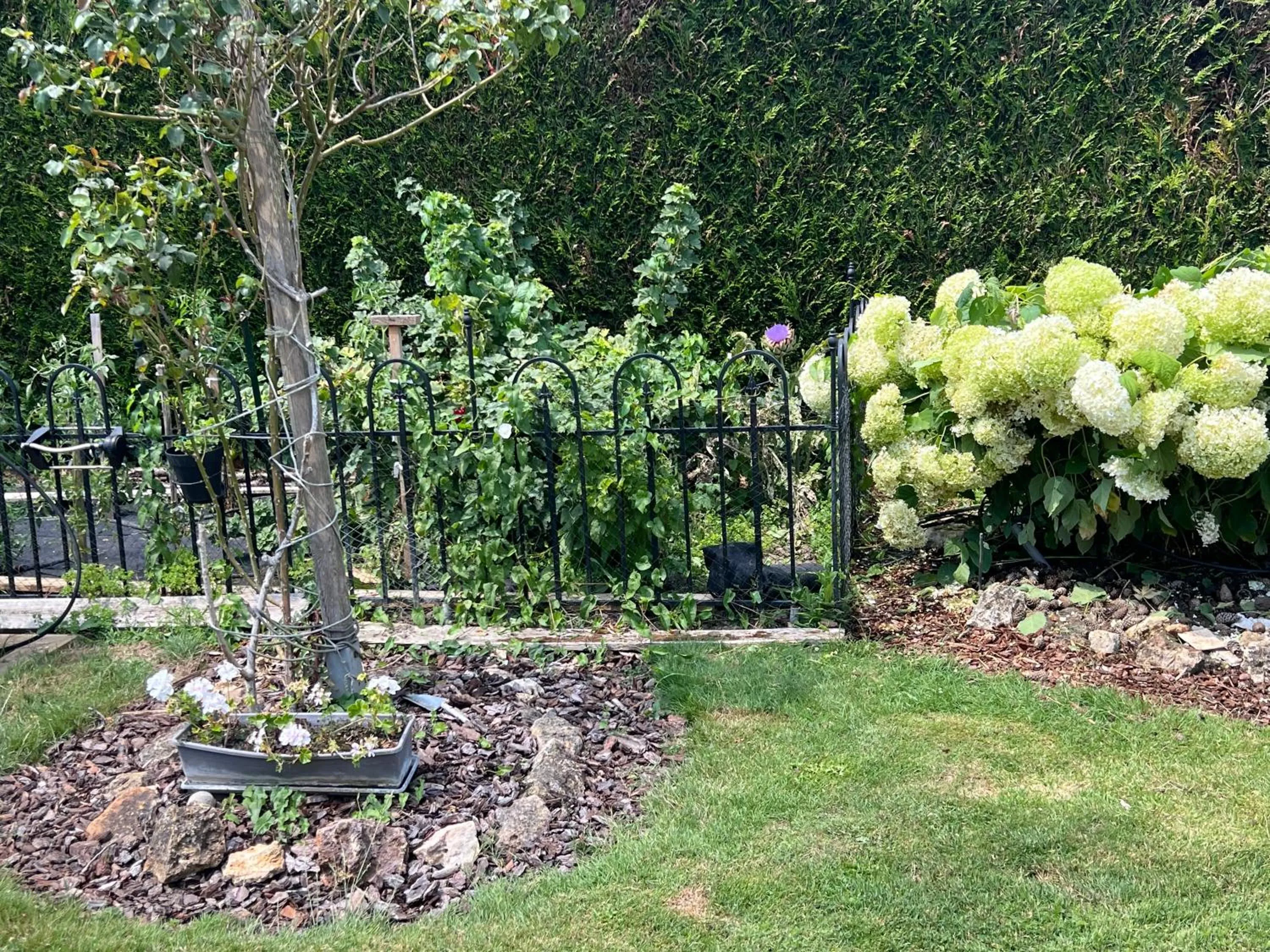 Garden in Les Prémices De La Forêt