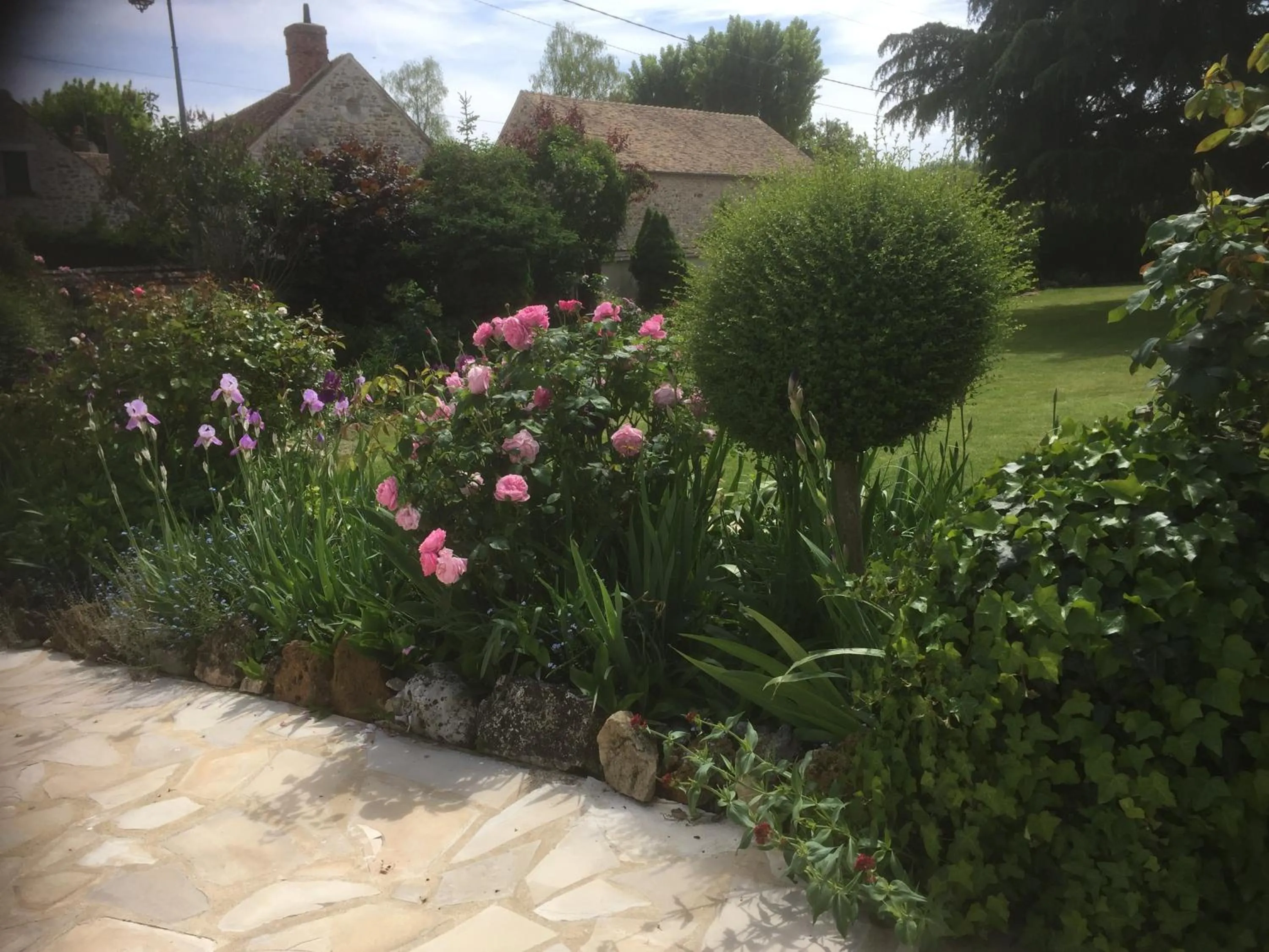 Garden view in Les Prémices De La Forêt