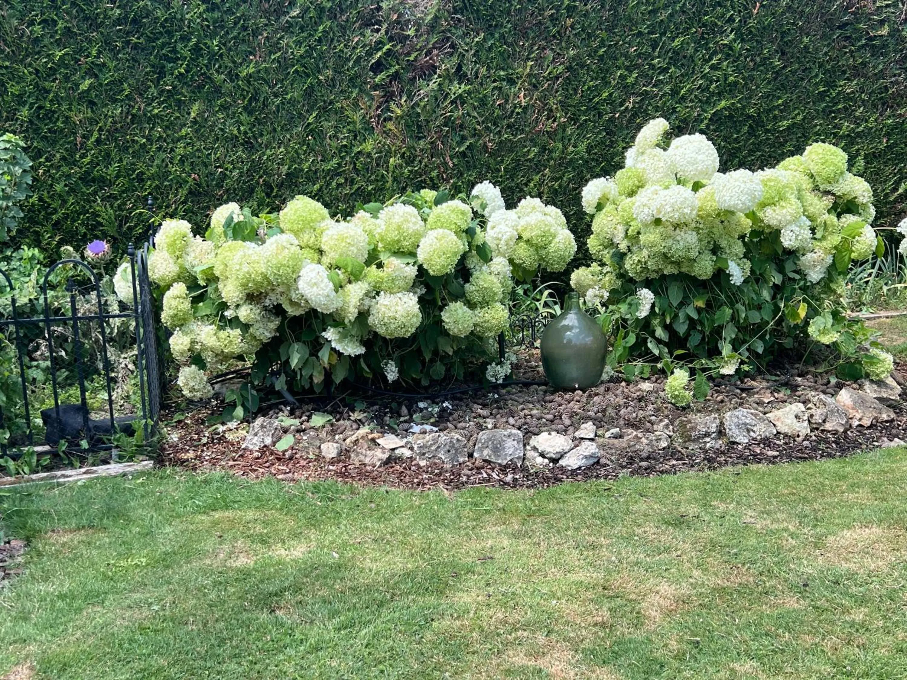 Garden in Les Prémices De La Forêt
