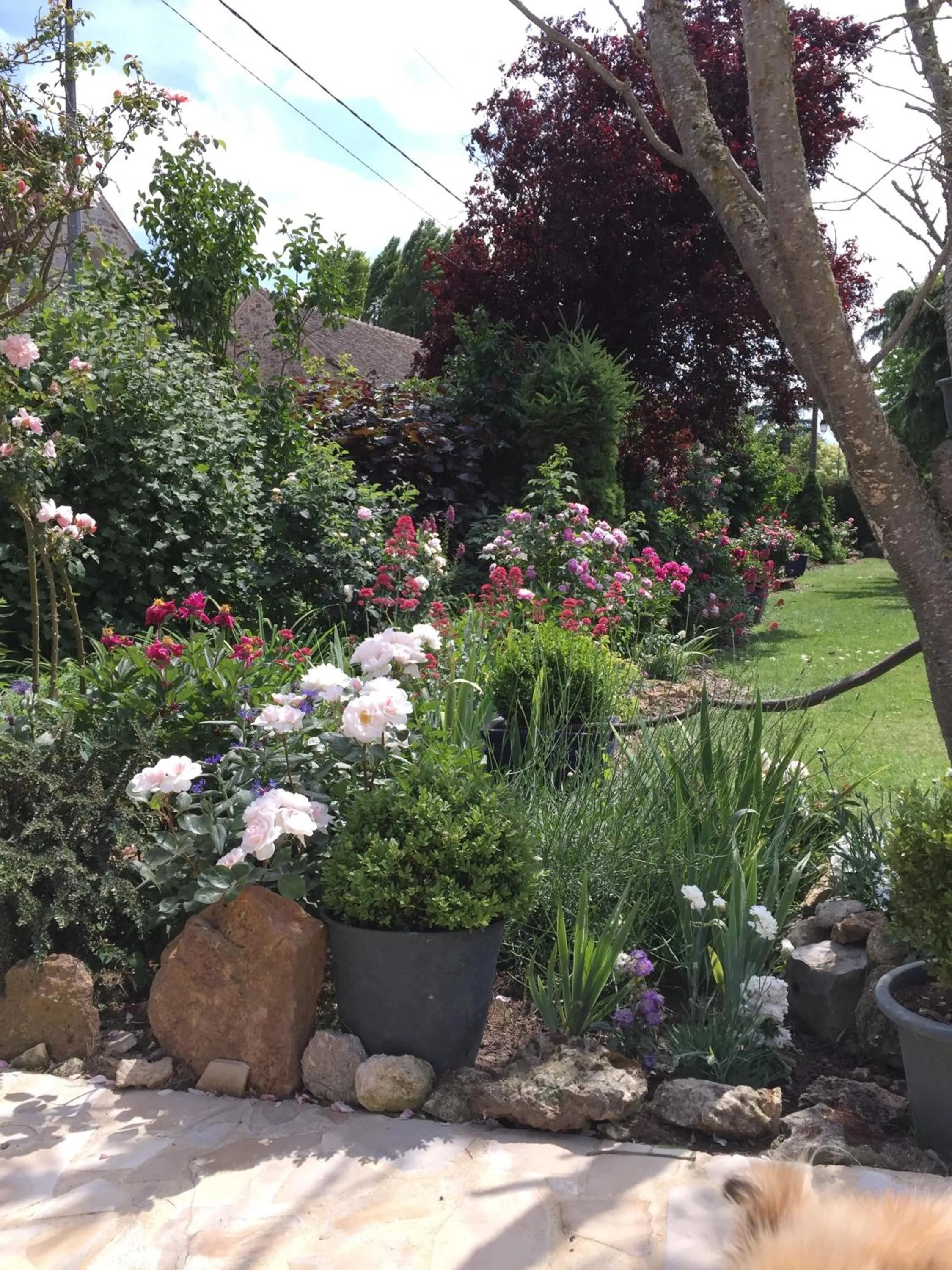 Garden view in Les Prémices De La Forêt