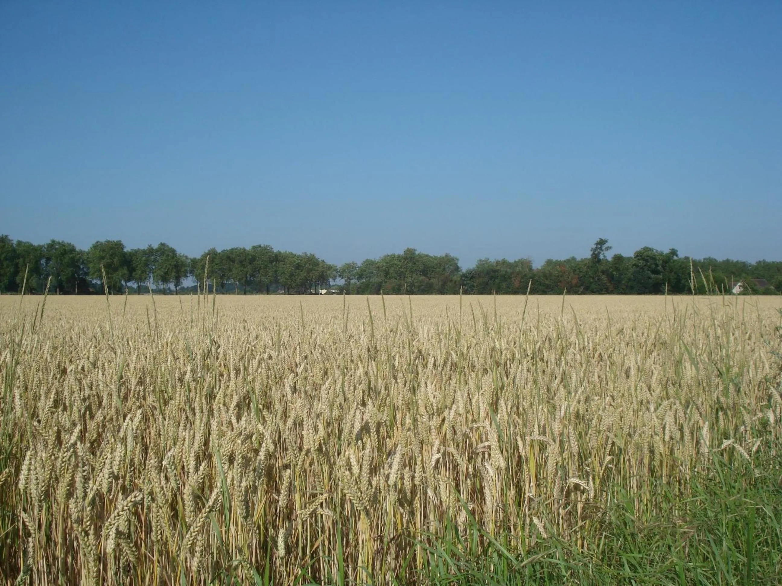 Nearby landmark in Les Prémices De La Forêt