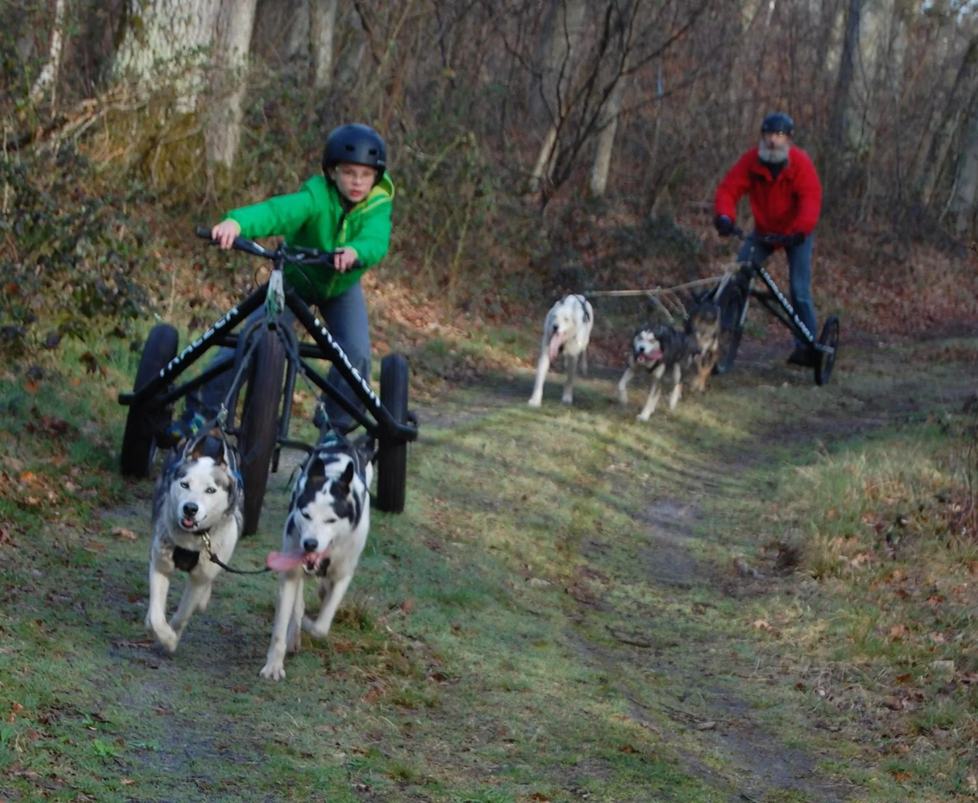 Entertainment in Les Prémices De La Forêt