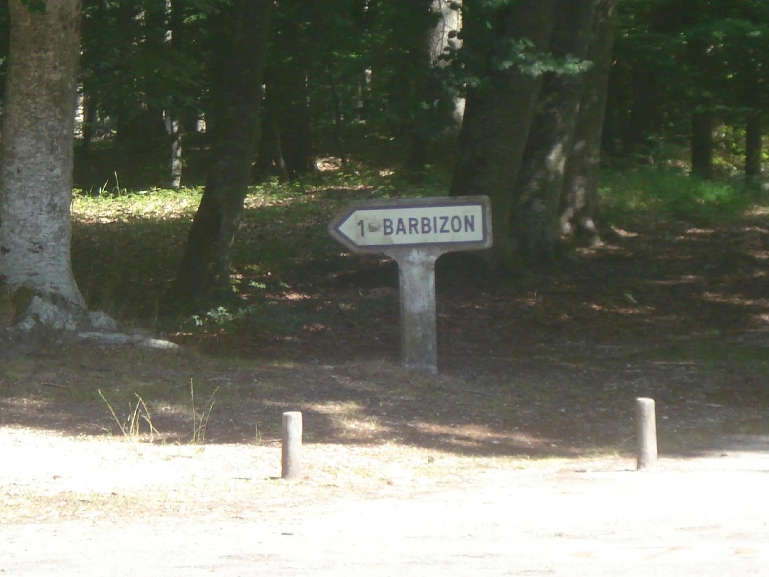 Hiking in Les Prémices De La Forêt