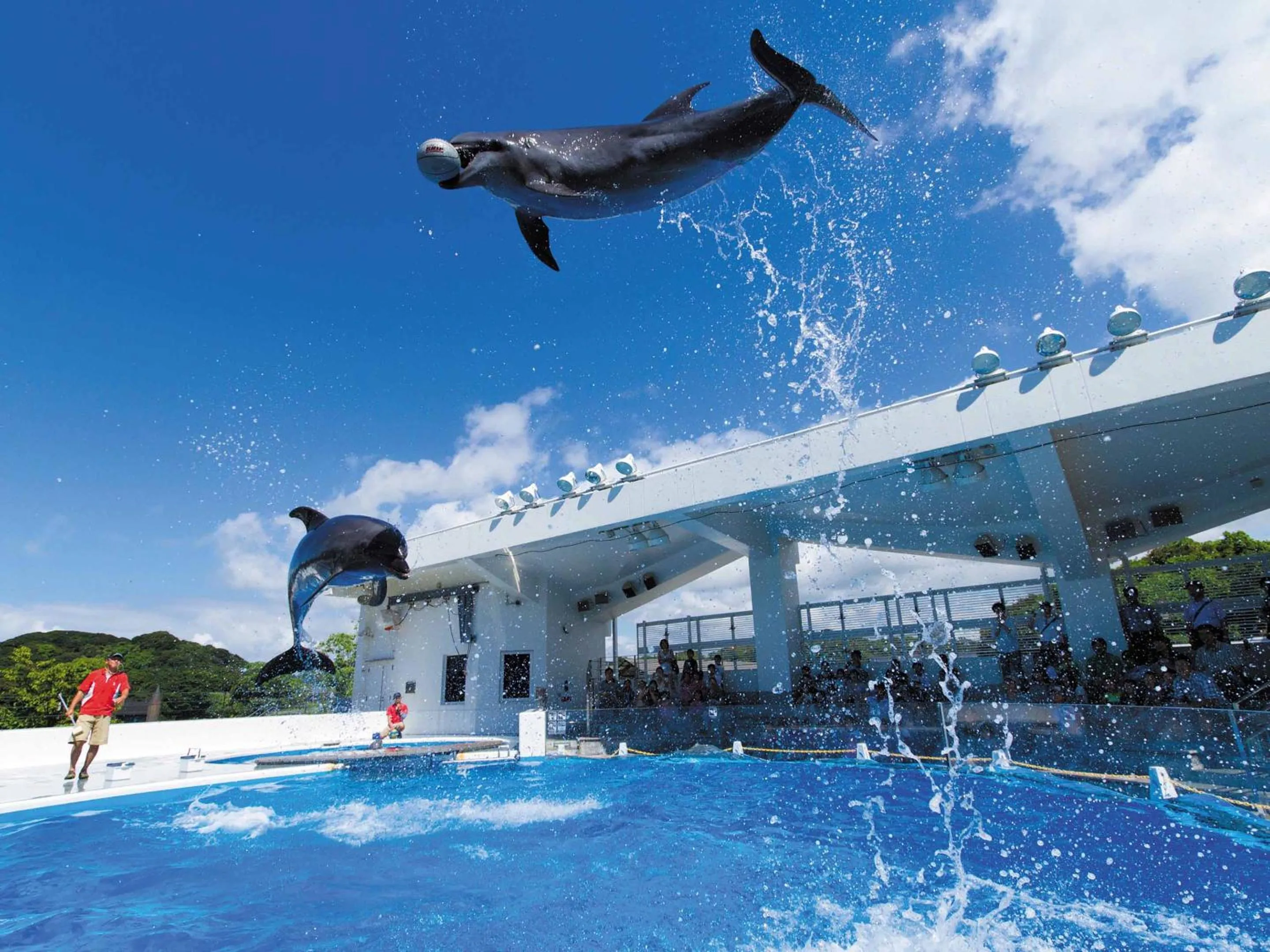 Nearby landmark in Ooedo Onsen Monogatari Ureshinokan