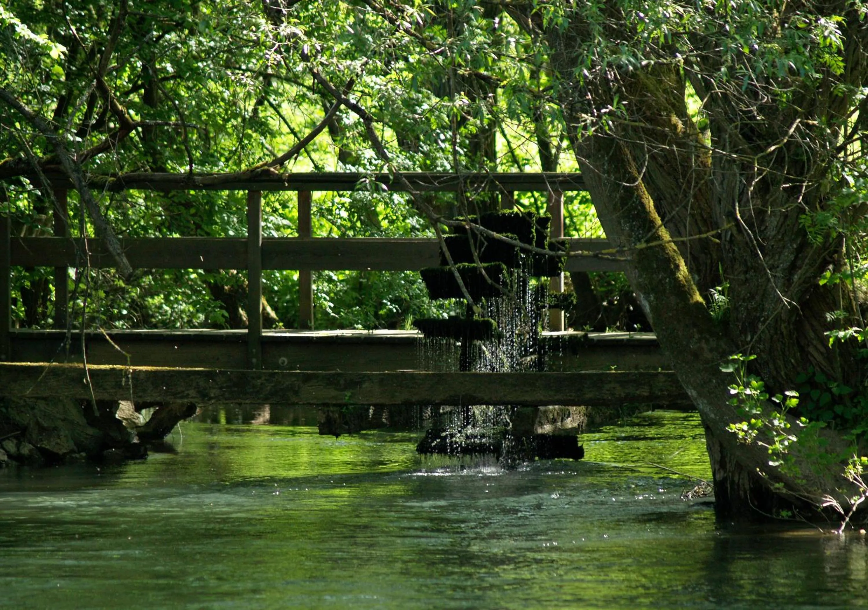 Nearby landmark in Hotel Sonne29
