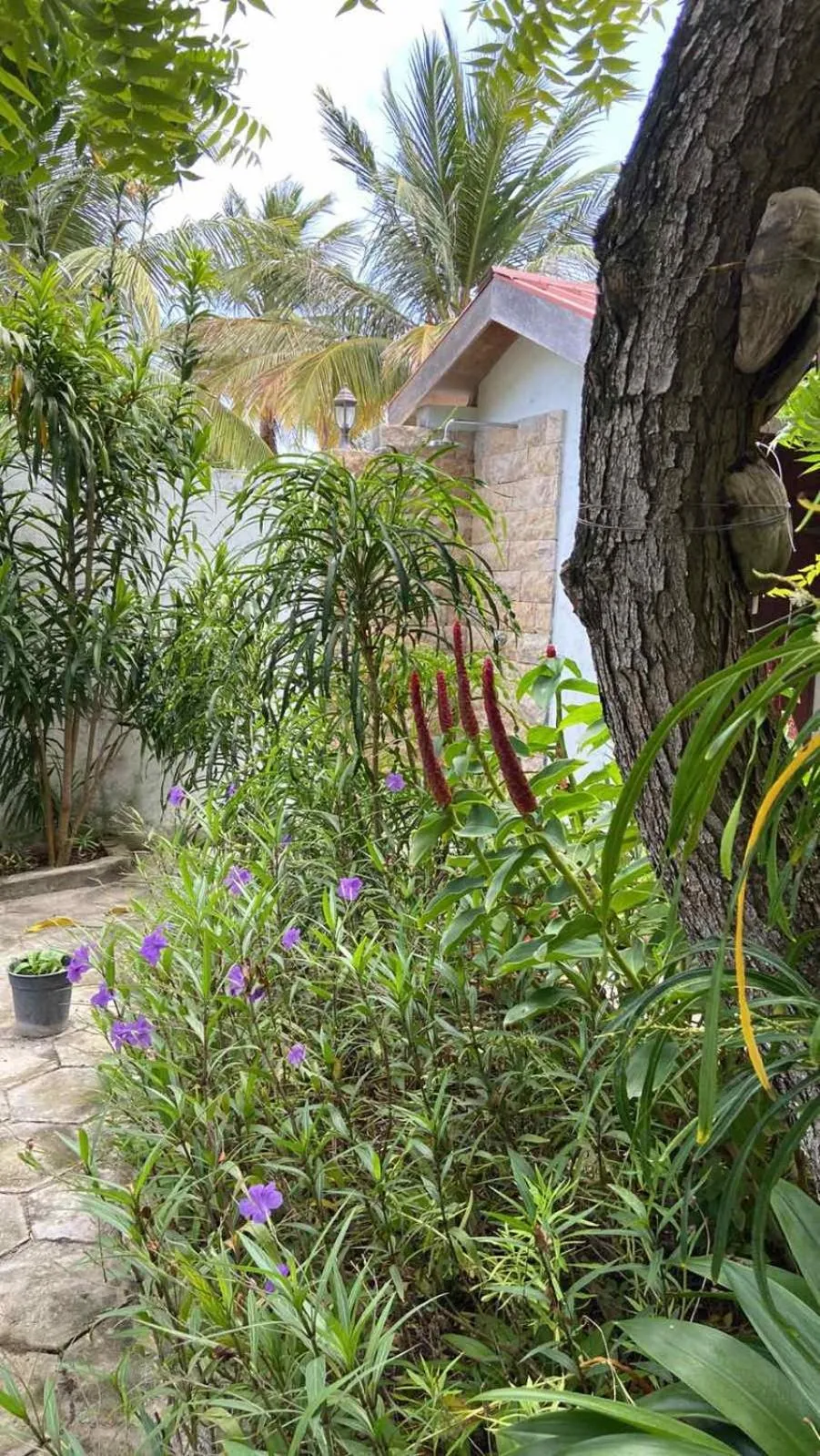 Garden in Cerulean View Residence