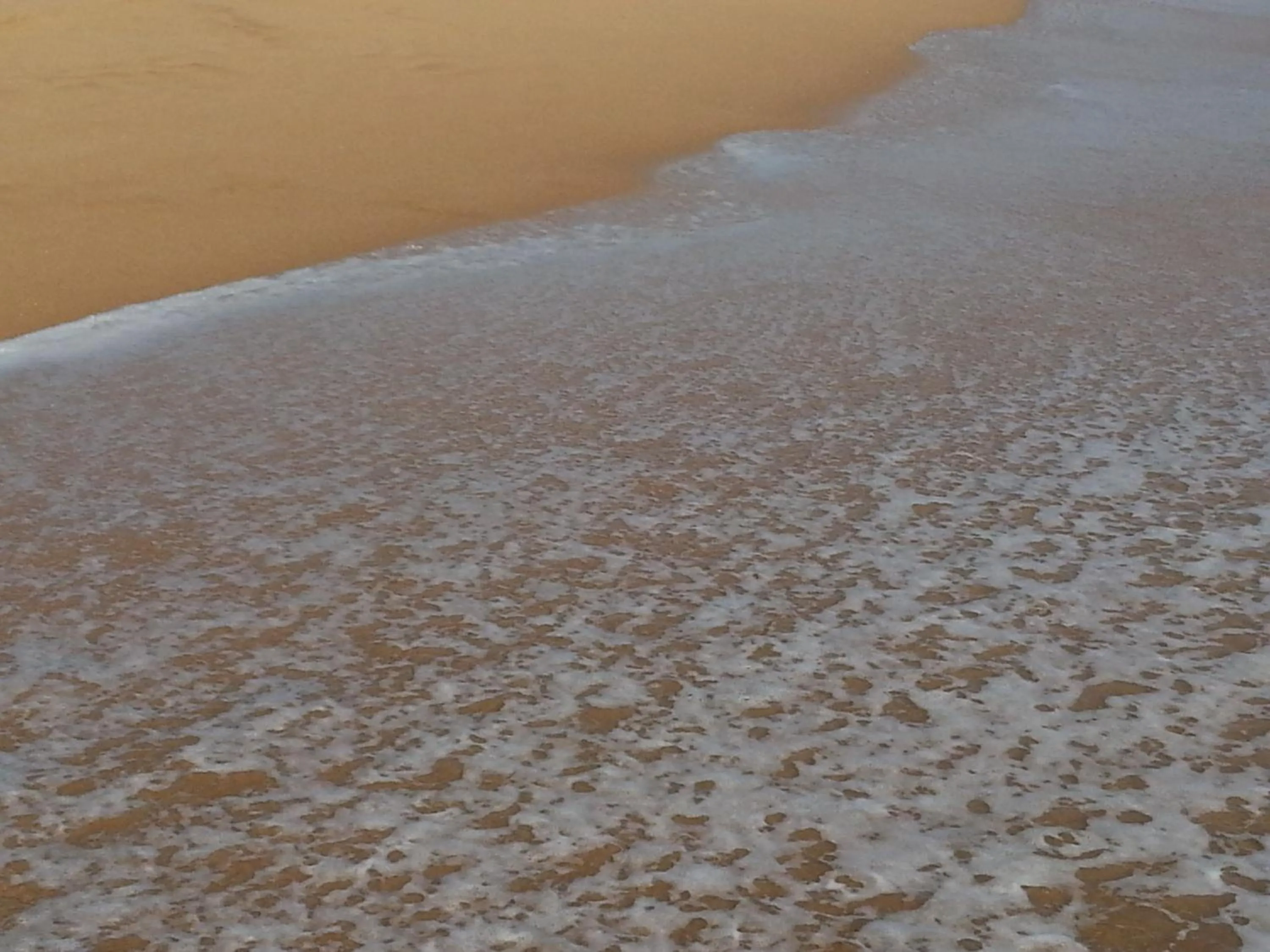 Lanka Beach Boutique Bungalows & Grand Villa