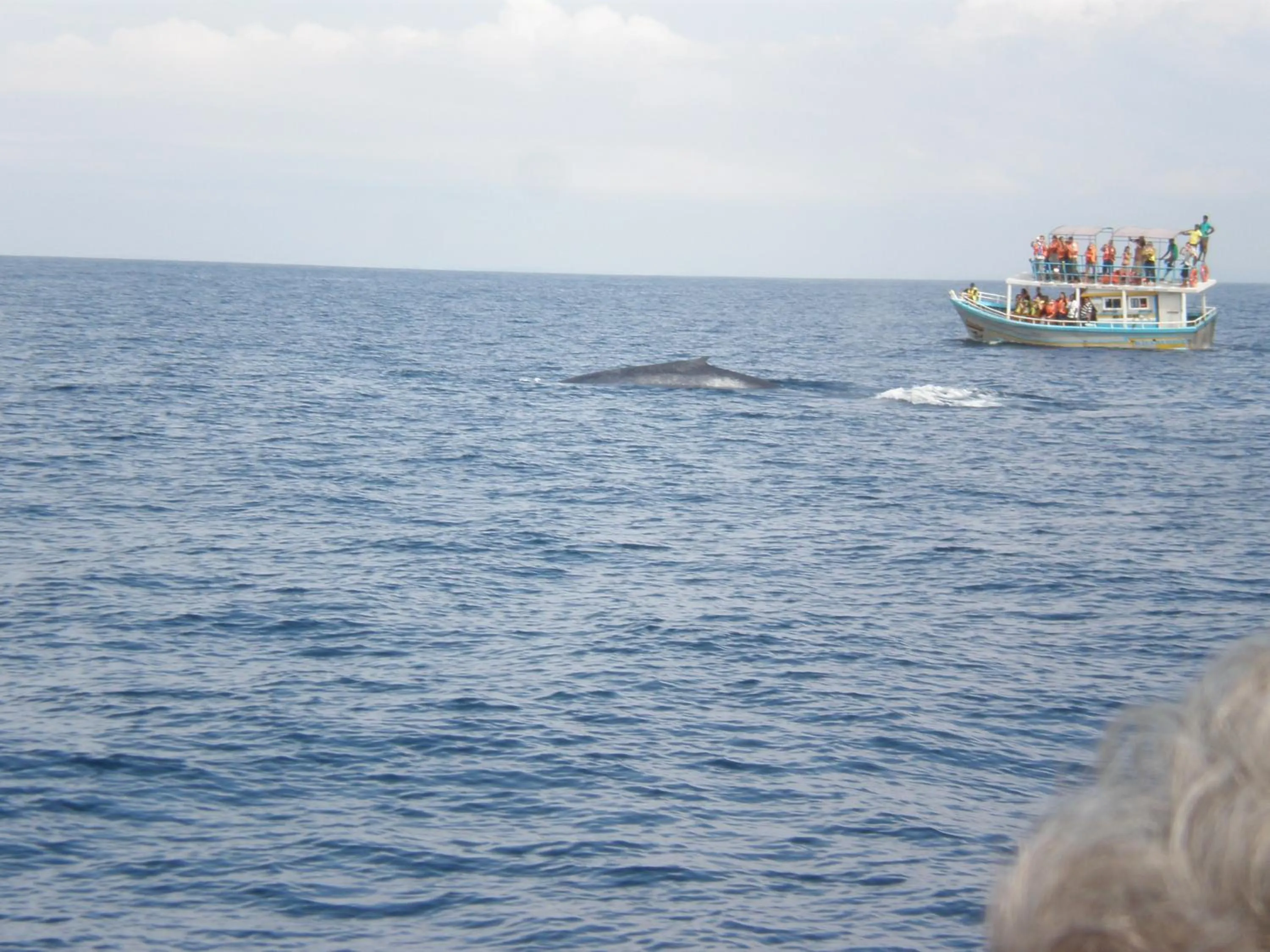 Lanka Beach Boutique Bungalows & Grand Villa