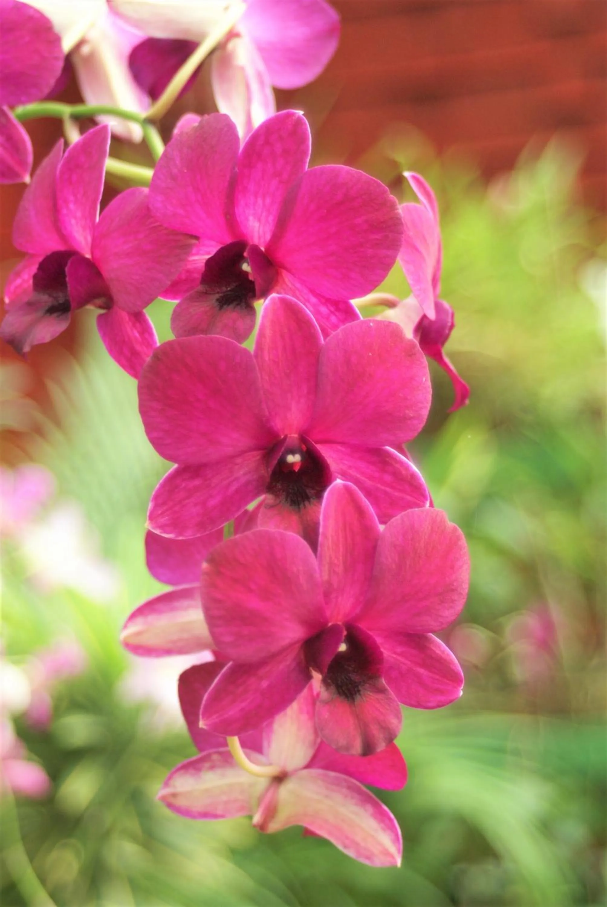 Lanka Beach Boutique Bungalows & Grand Villa