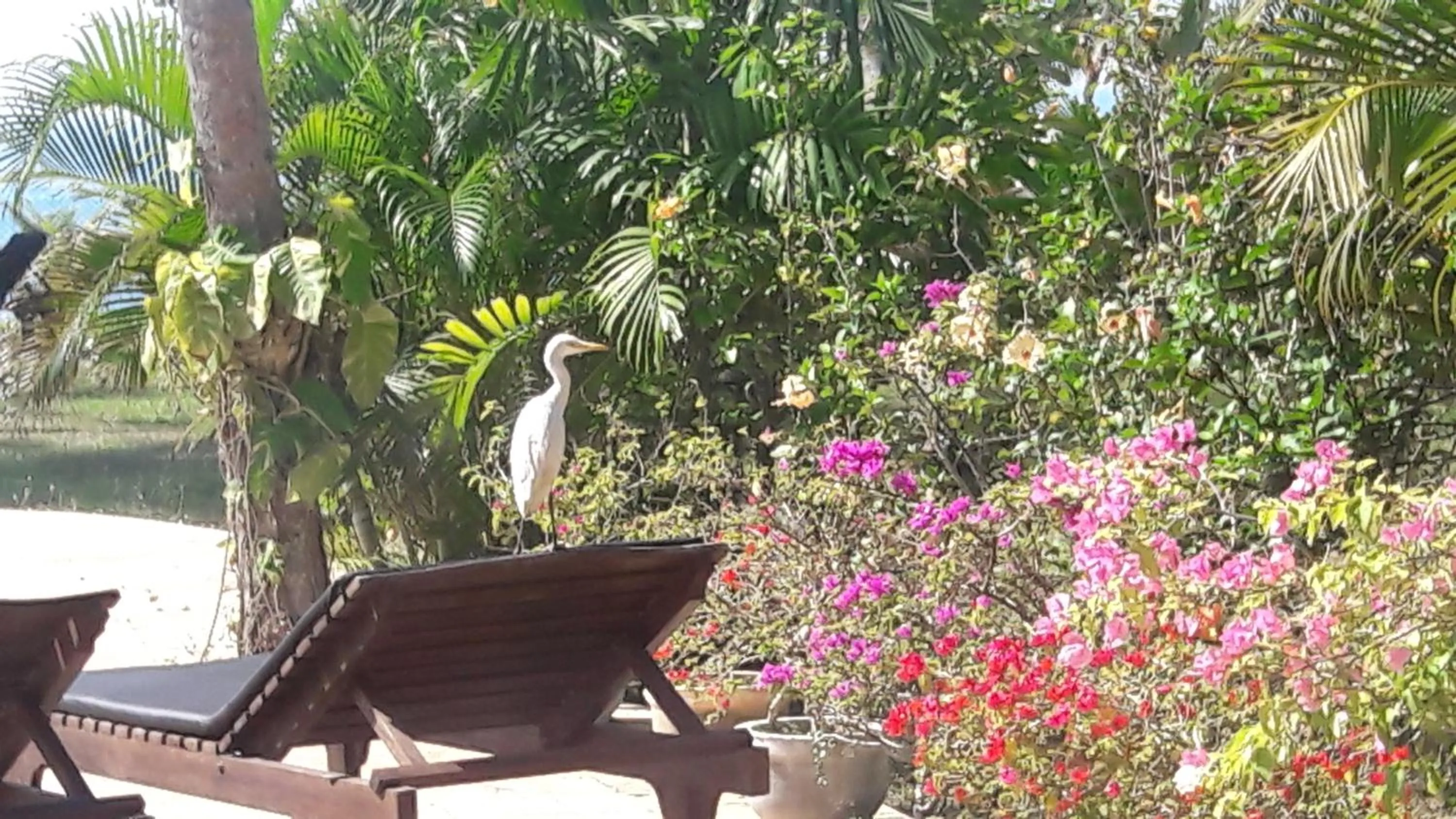 Lanka Beach Boutique Bungalows & Grand Villa