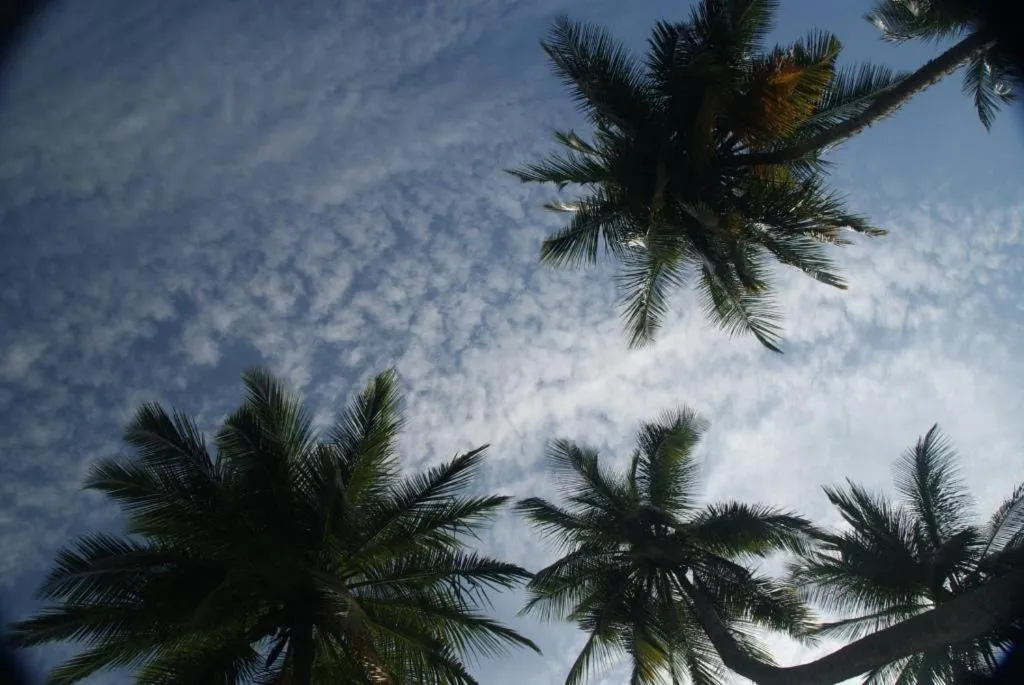 Lanka Beach Boutique Bungalows & Grand Villa