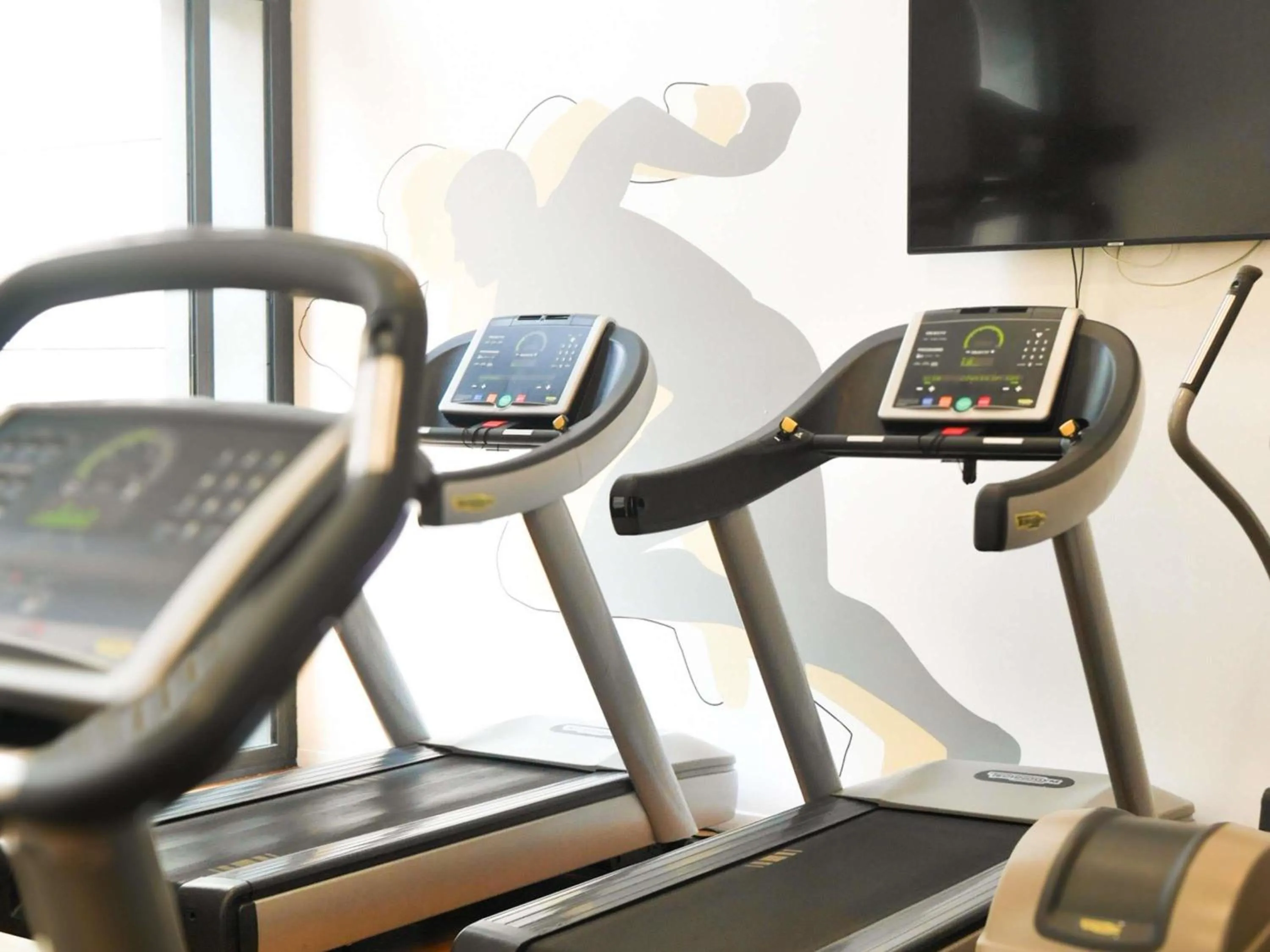 Fitness centre/facilities in Novotel Monte-Carlo