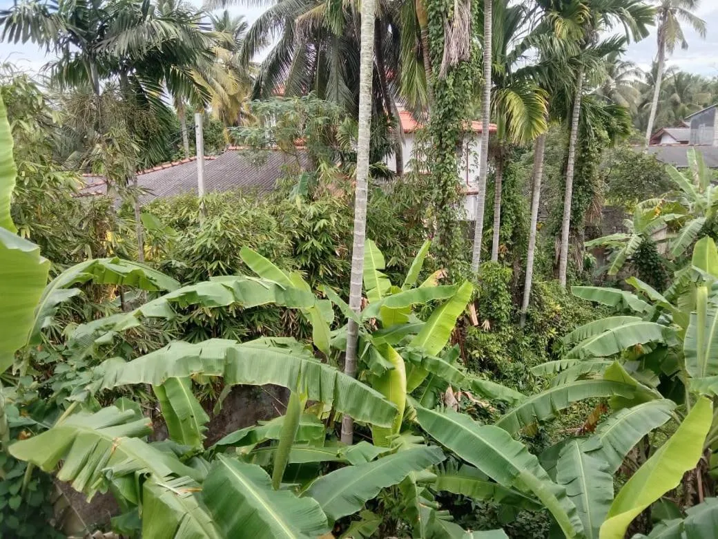 View (from property/room) in Arcadia Resort