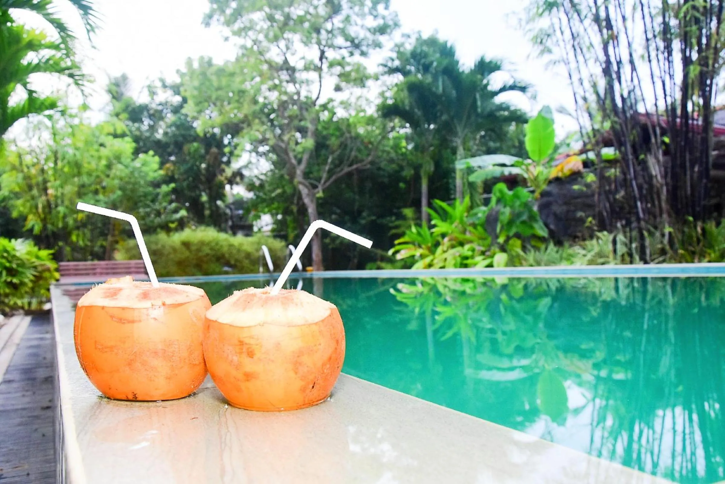 Day in Arcadia Resort