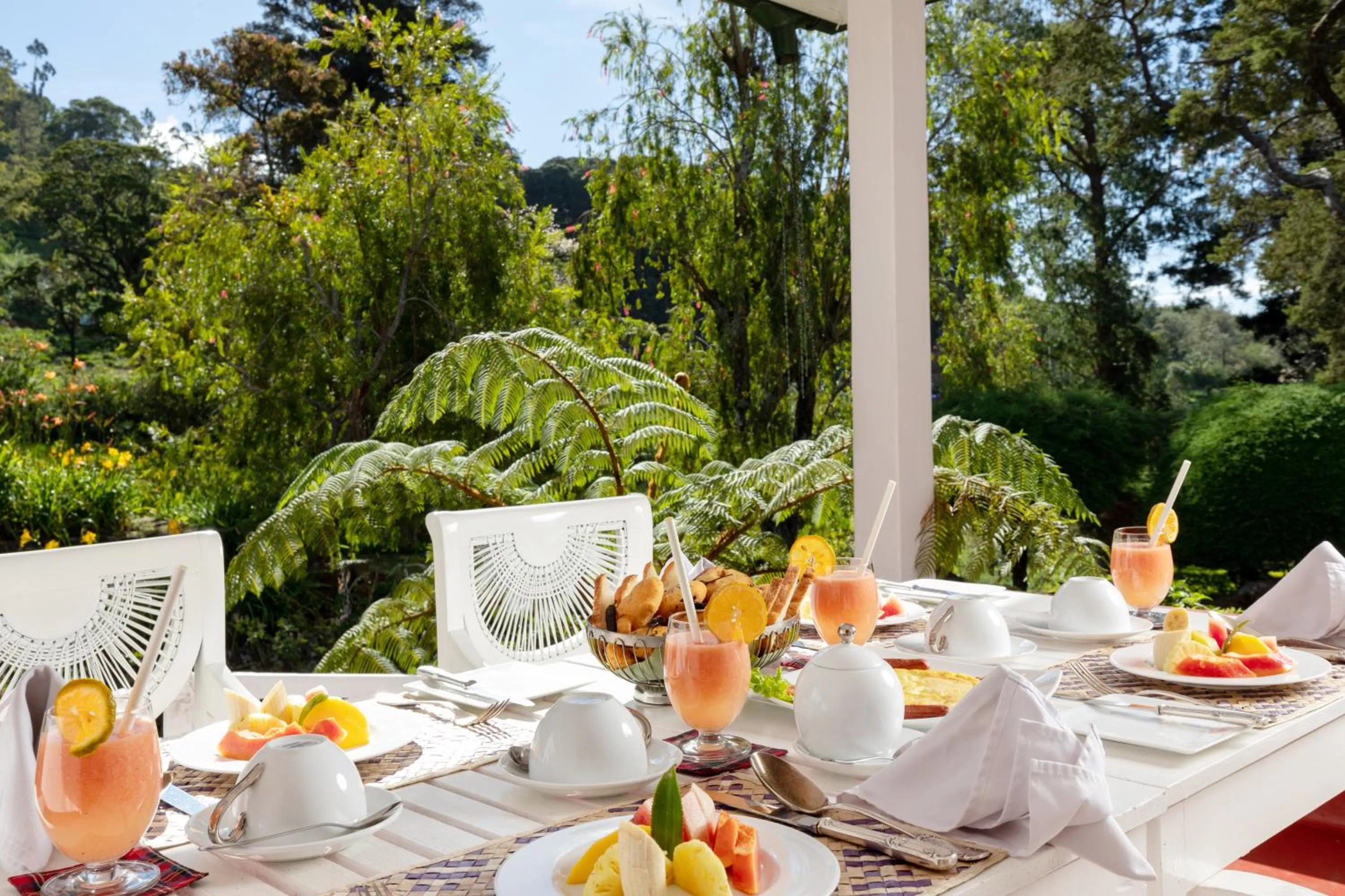 Breakfast in Scottish Planter Bungalow- Thema Collection