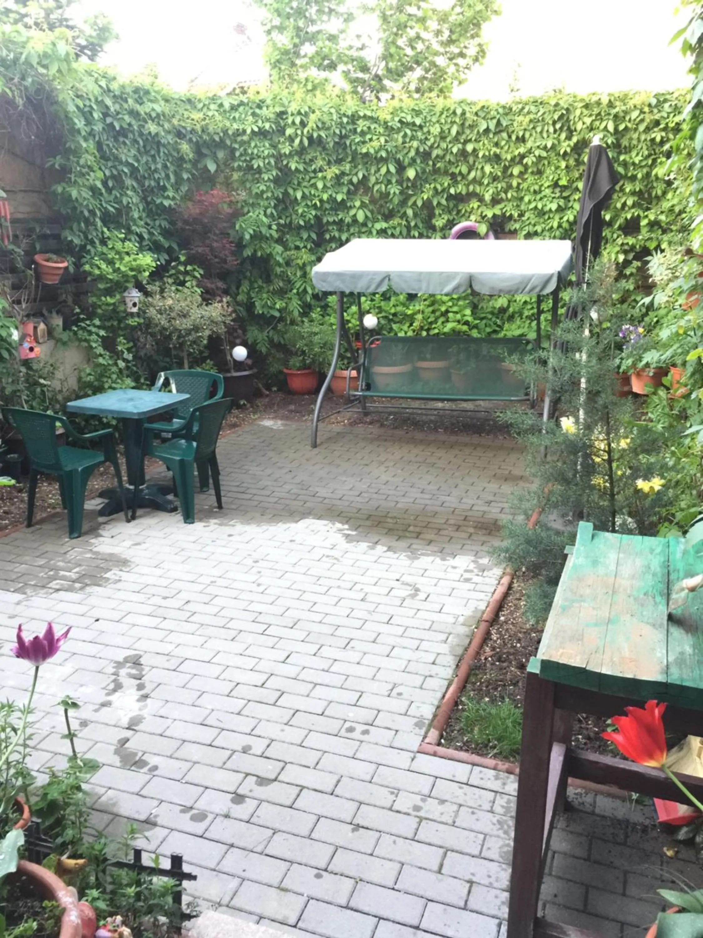 Garden in Mosilor Apartments