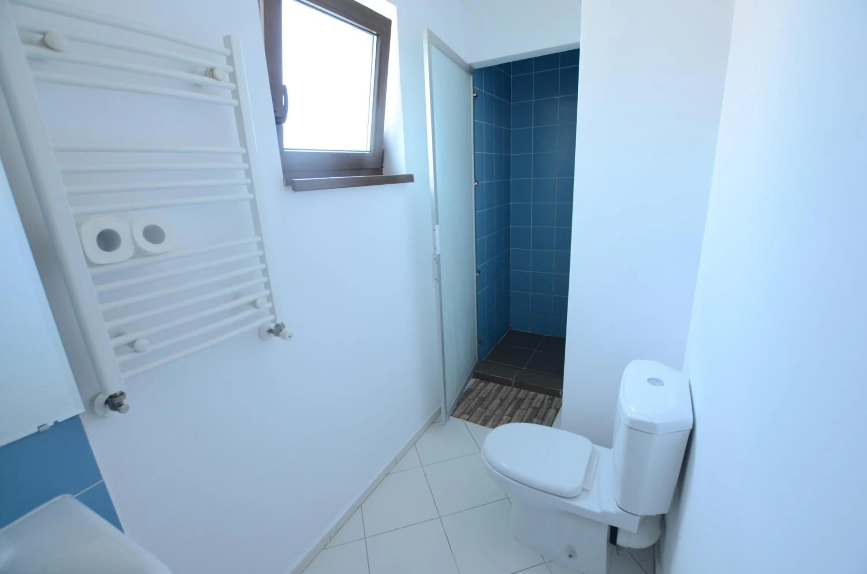 Toilet in Mosilor Apartments