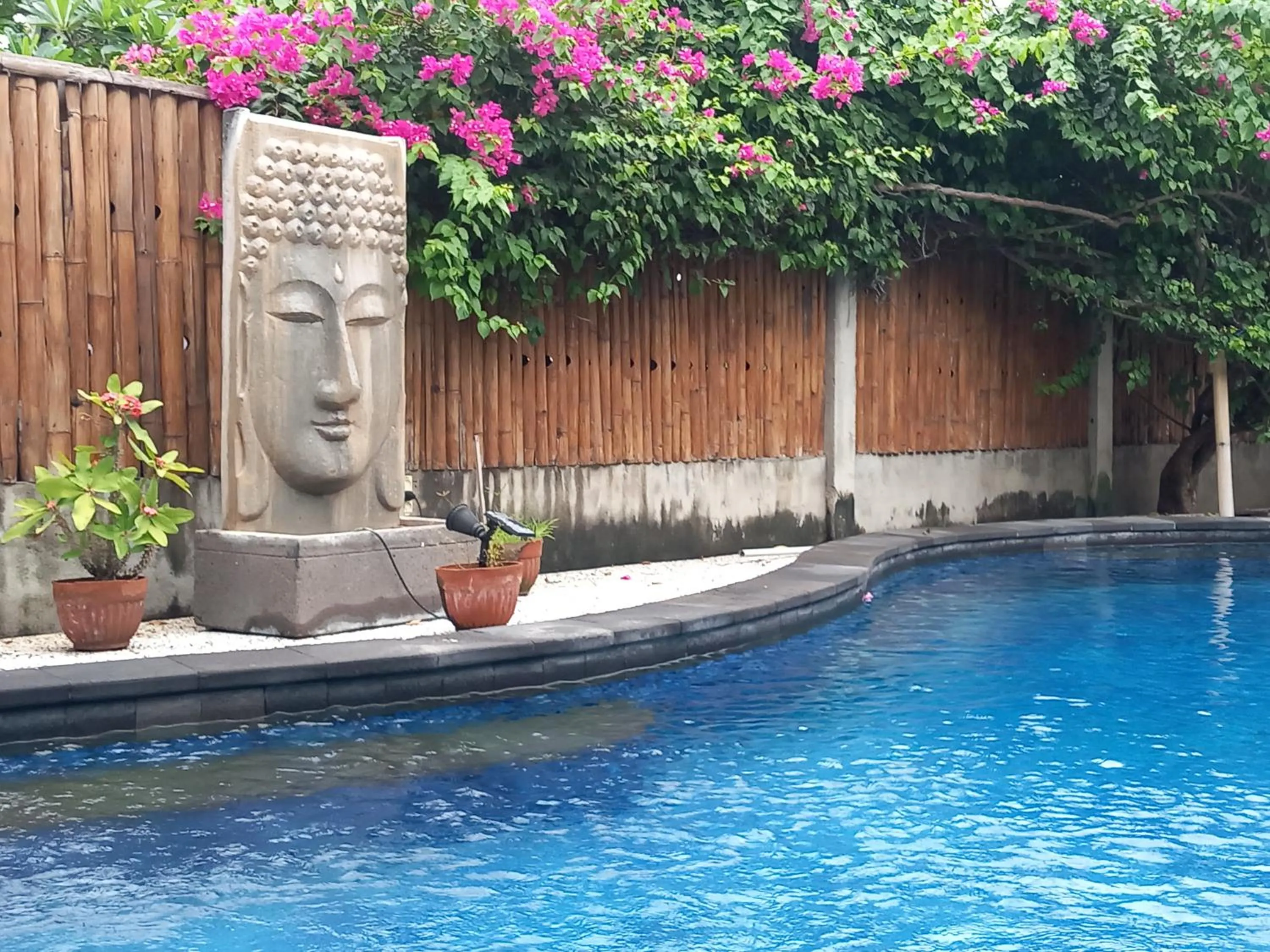 Pool view in Djamezz Lumbung