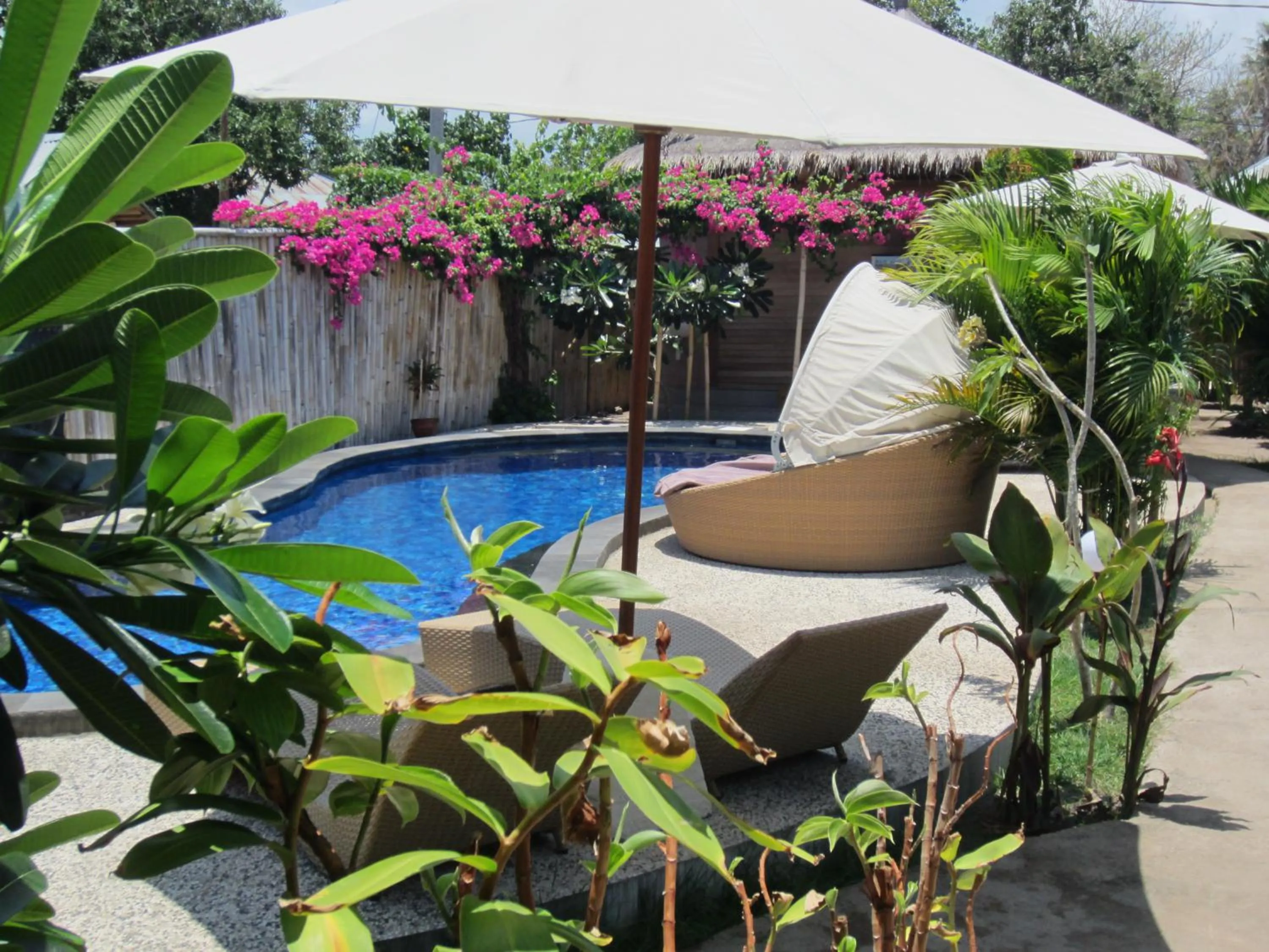 Pool view in Djamezz Lumbung