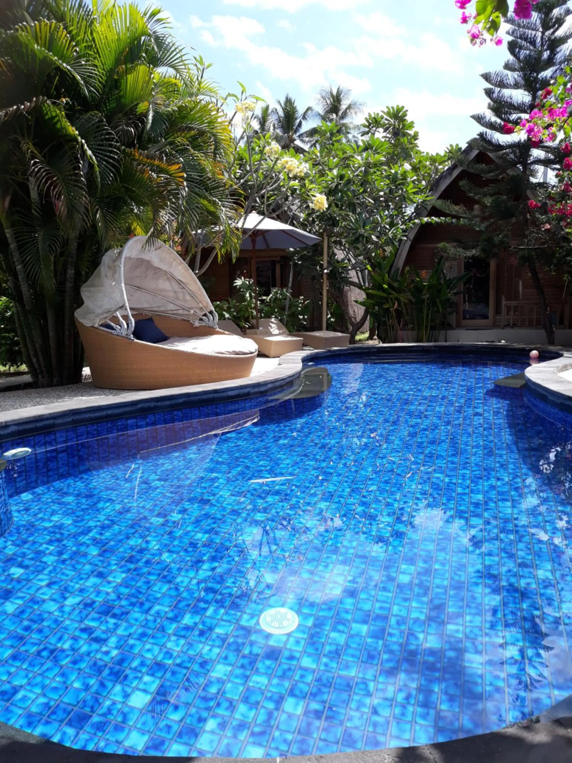 Pool view in Djamezz Lumbung