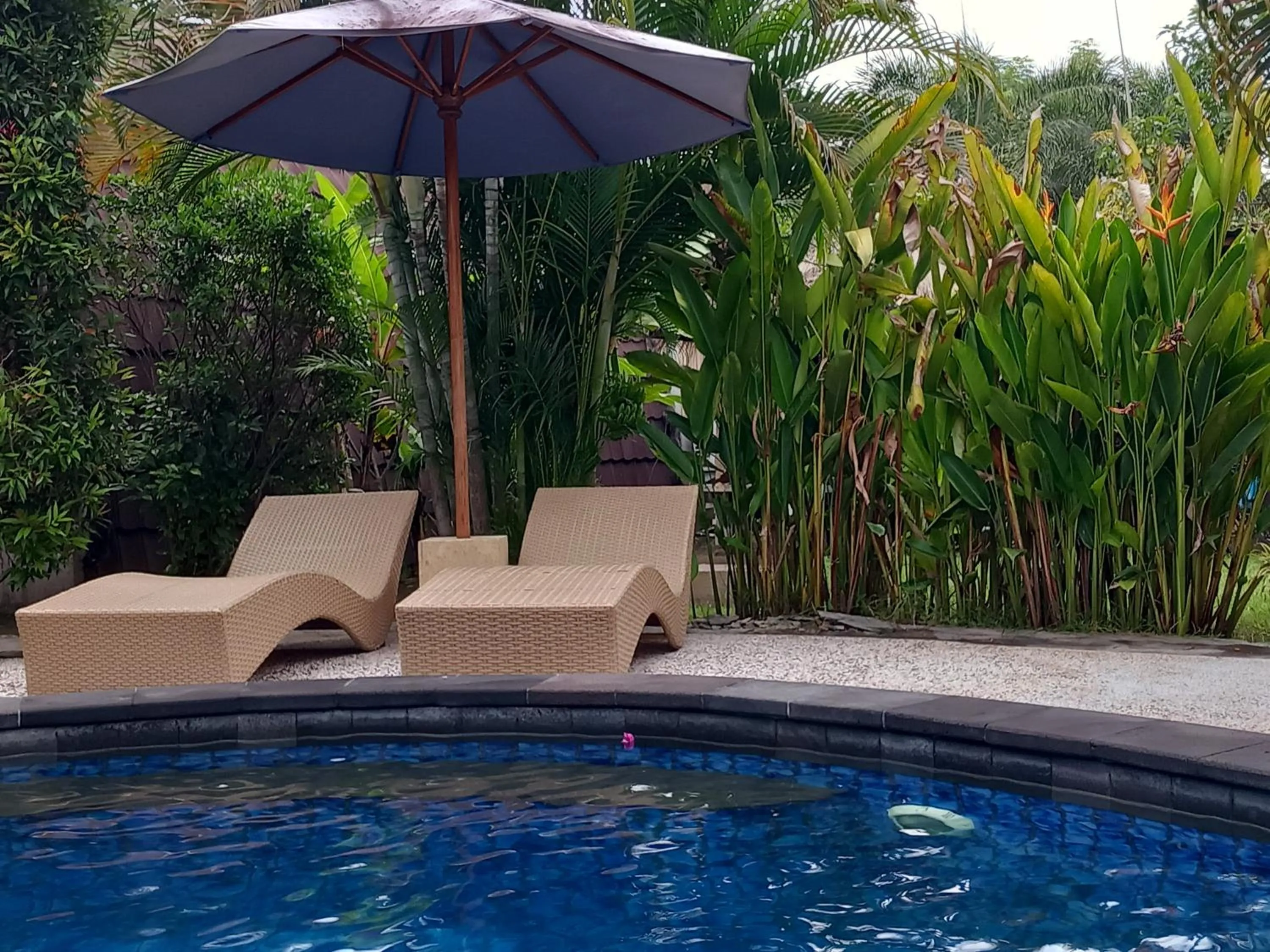 Swimming pool in Djamezz Lumbung
