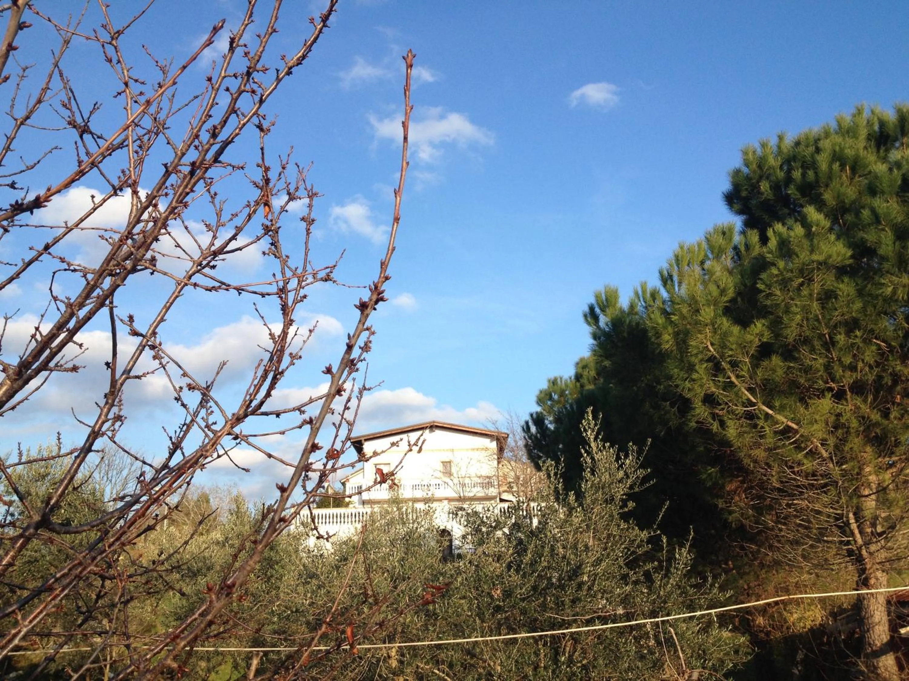 Property building in Via col Vento