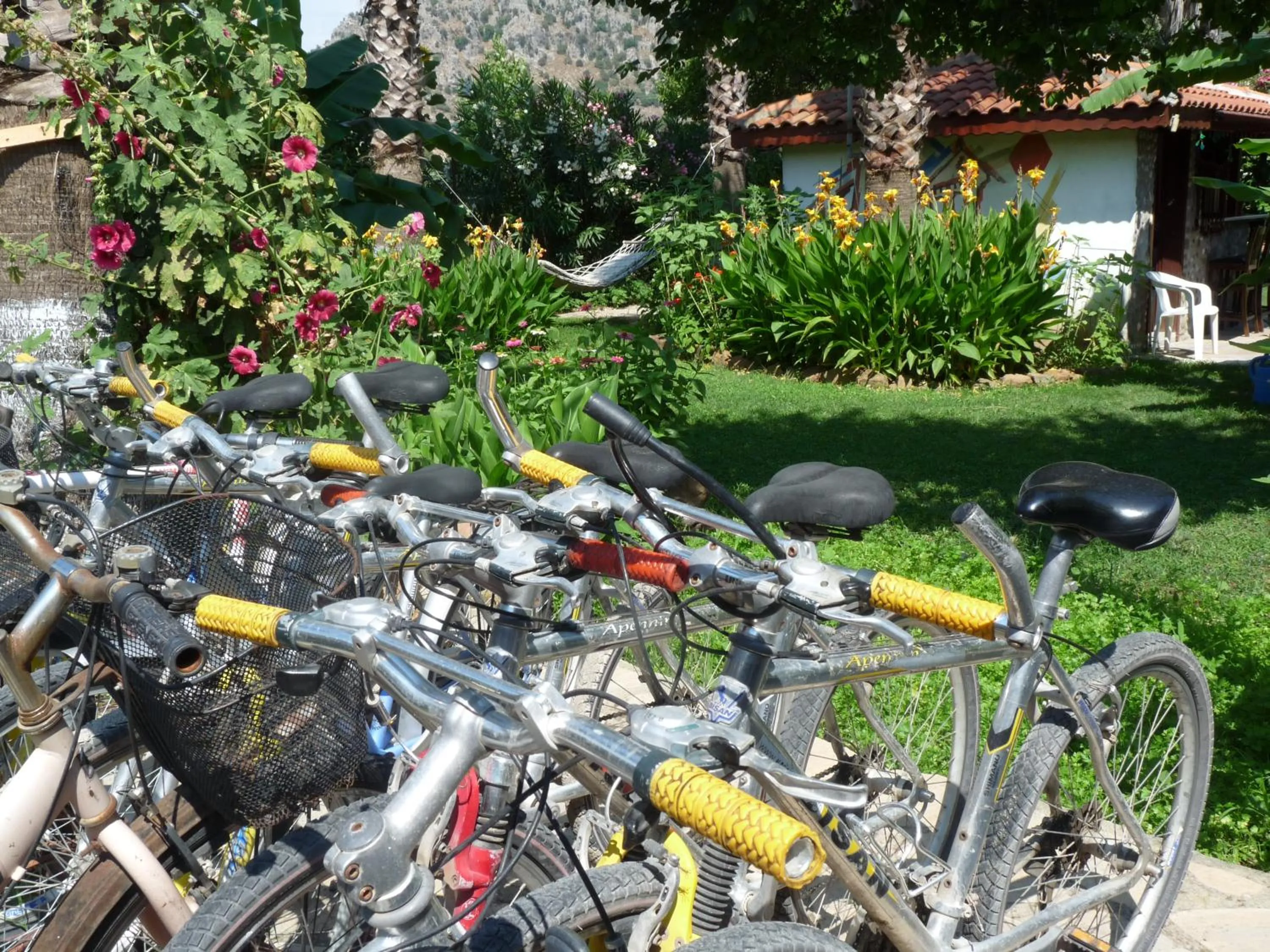 Area and facilities in Dalyan Garden Pension