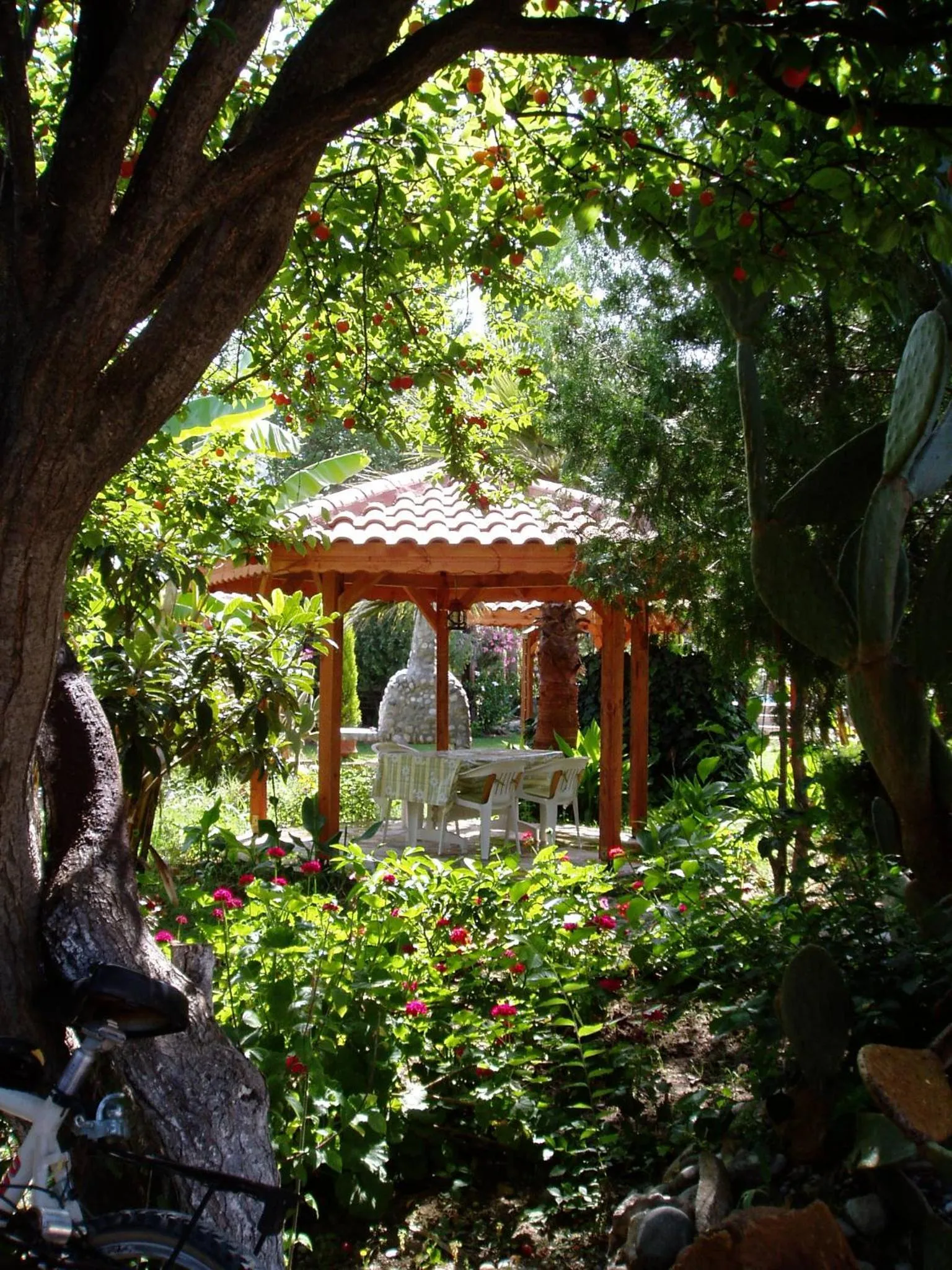 Garden view in Dalyan Garden Pension
