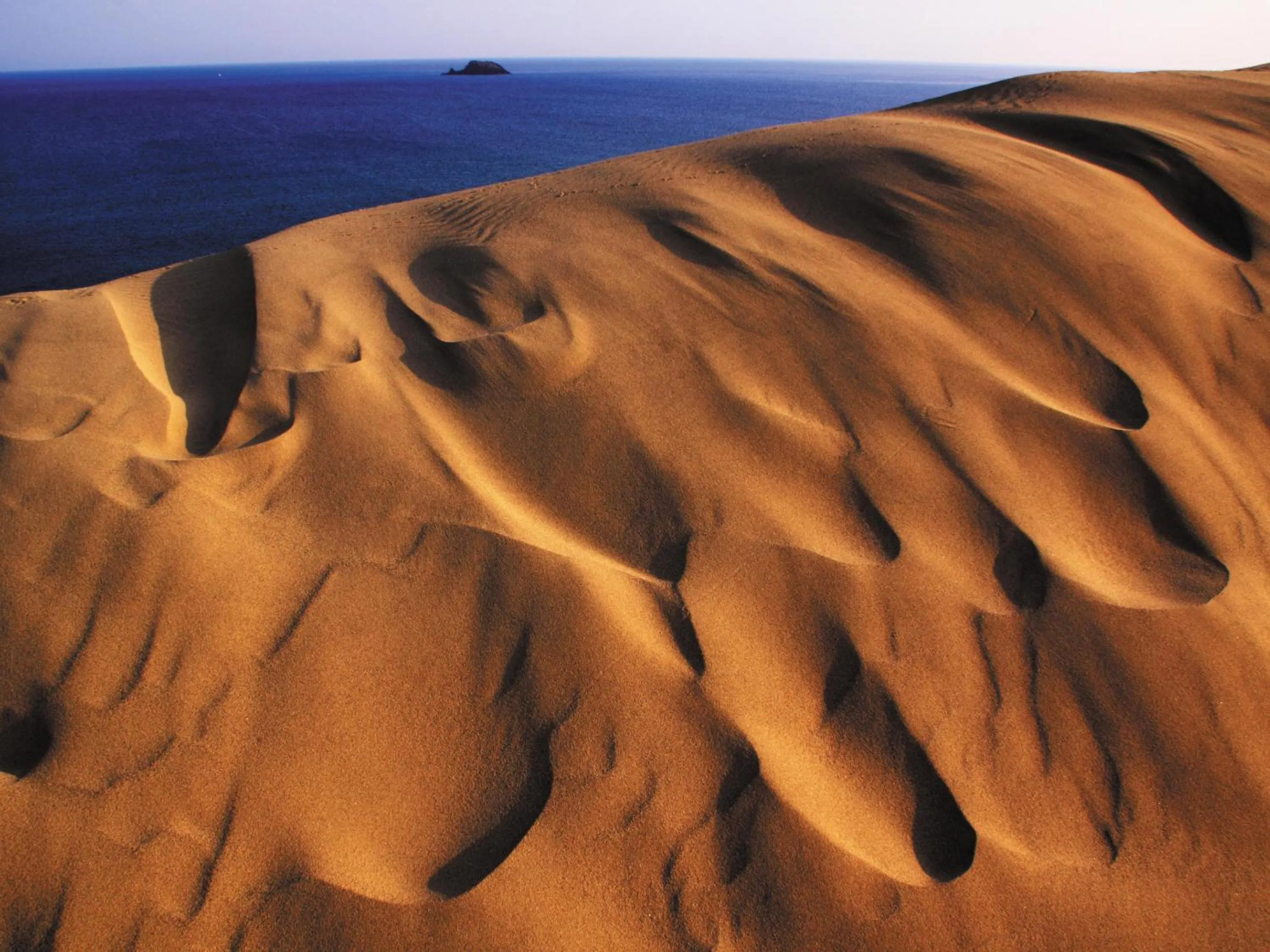 Nearby landmark in Ooedo Onsen Monogatari Premium Saiki Bekkan