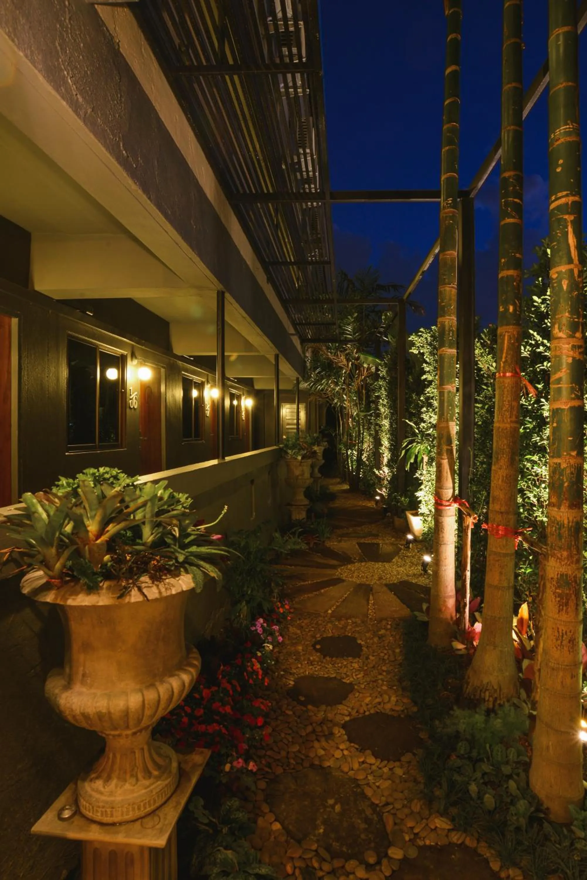 Other in Cozy Inn Chiang Mai