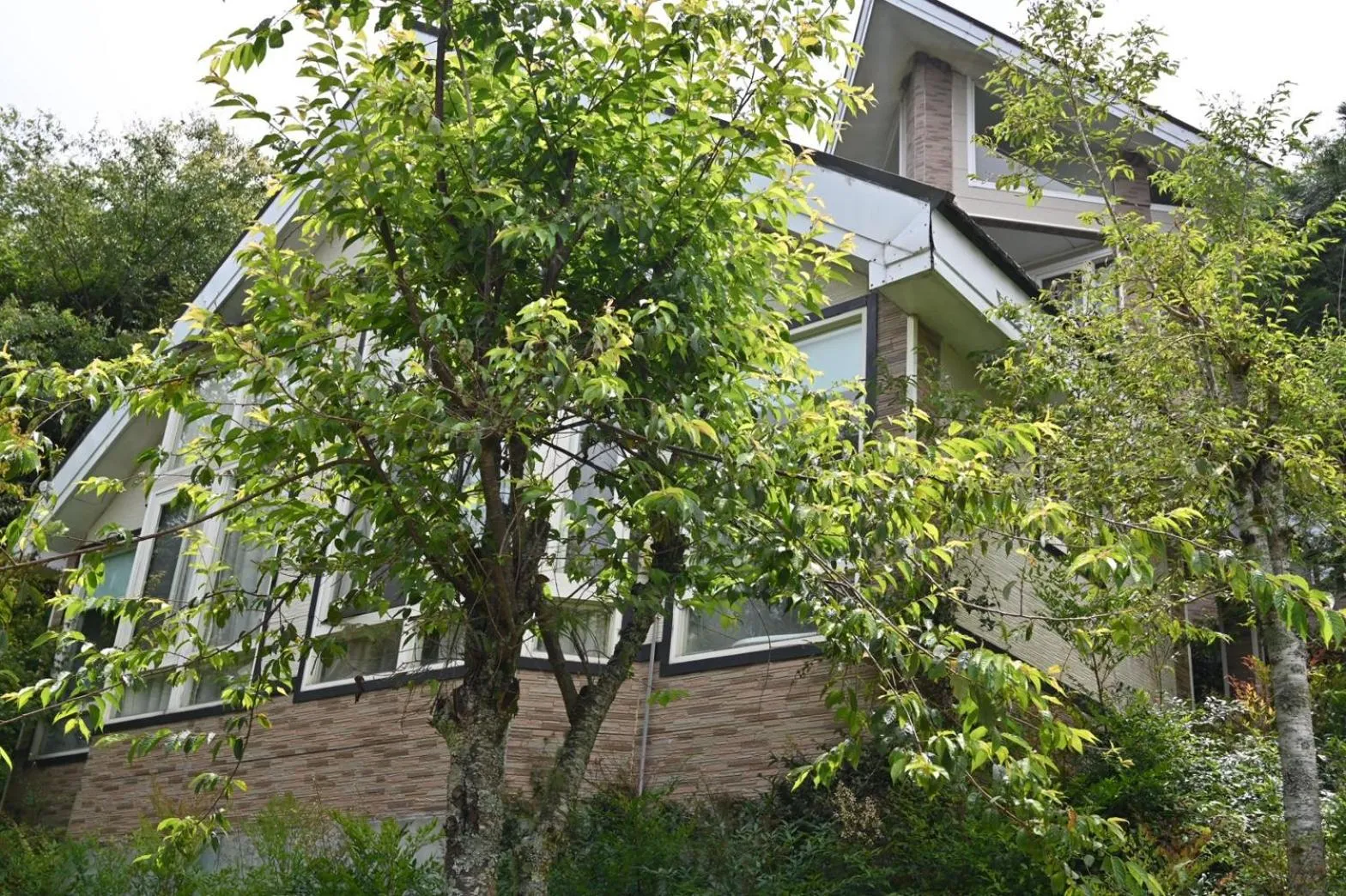 Property building in Dreamtown