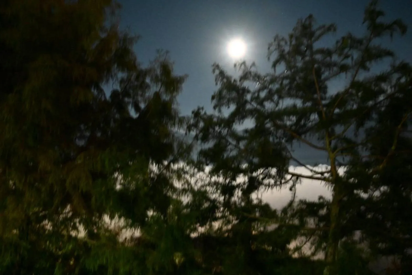 Natural landscape in Dreamtown