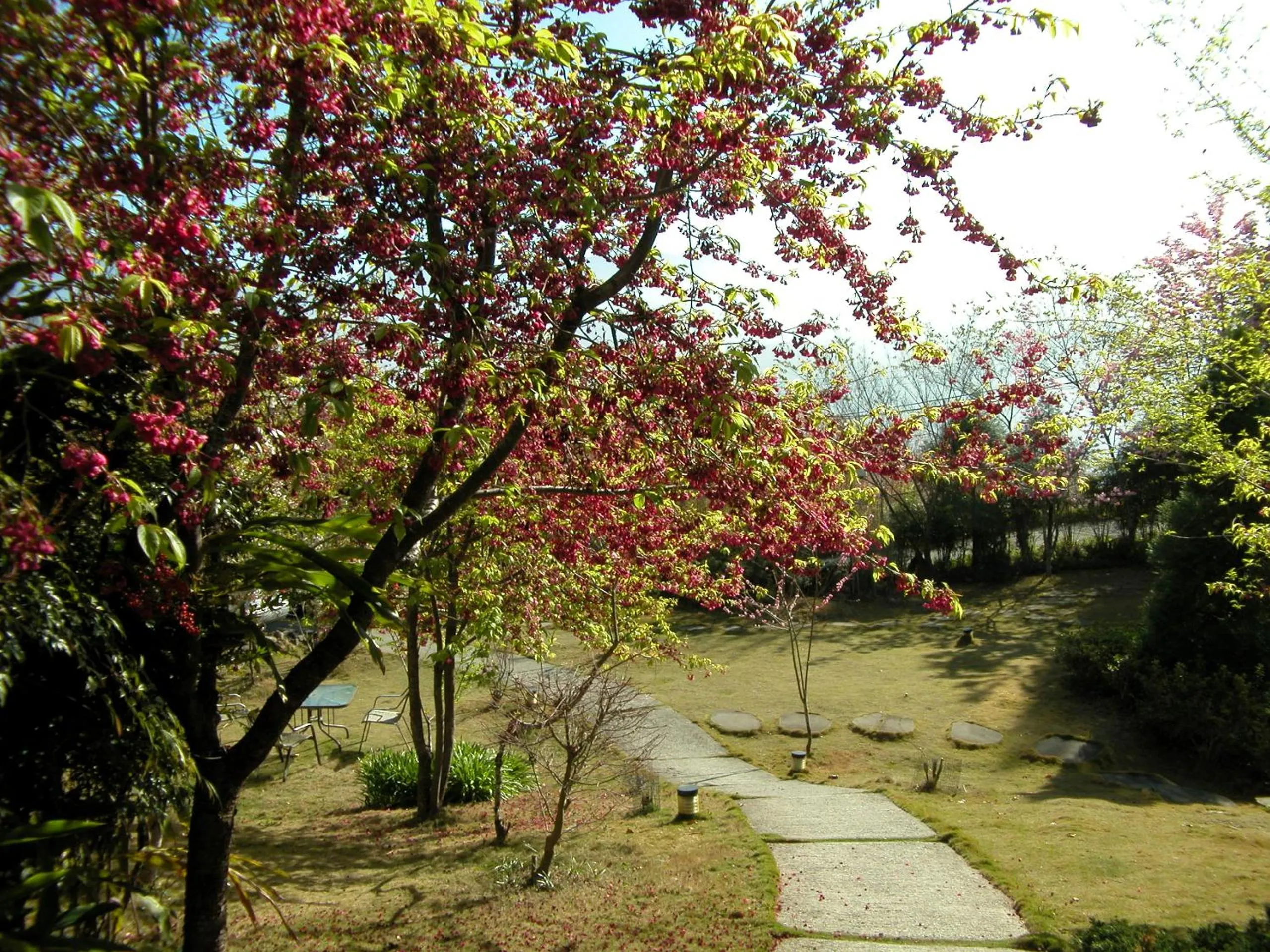 Property building in Dreamtown