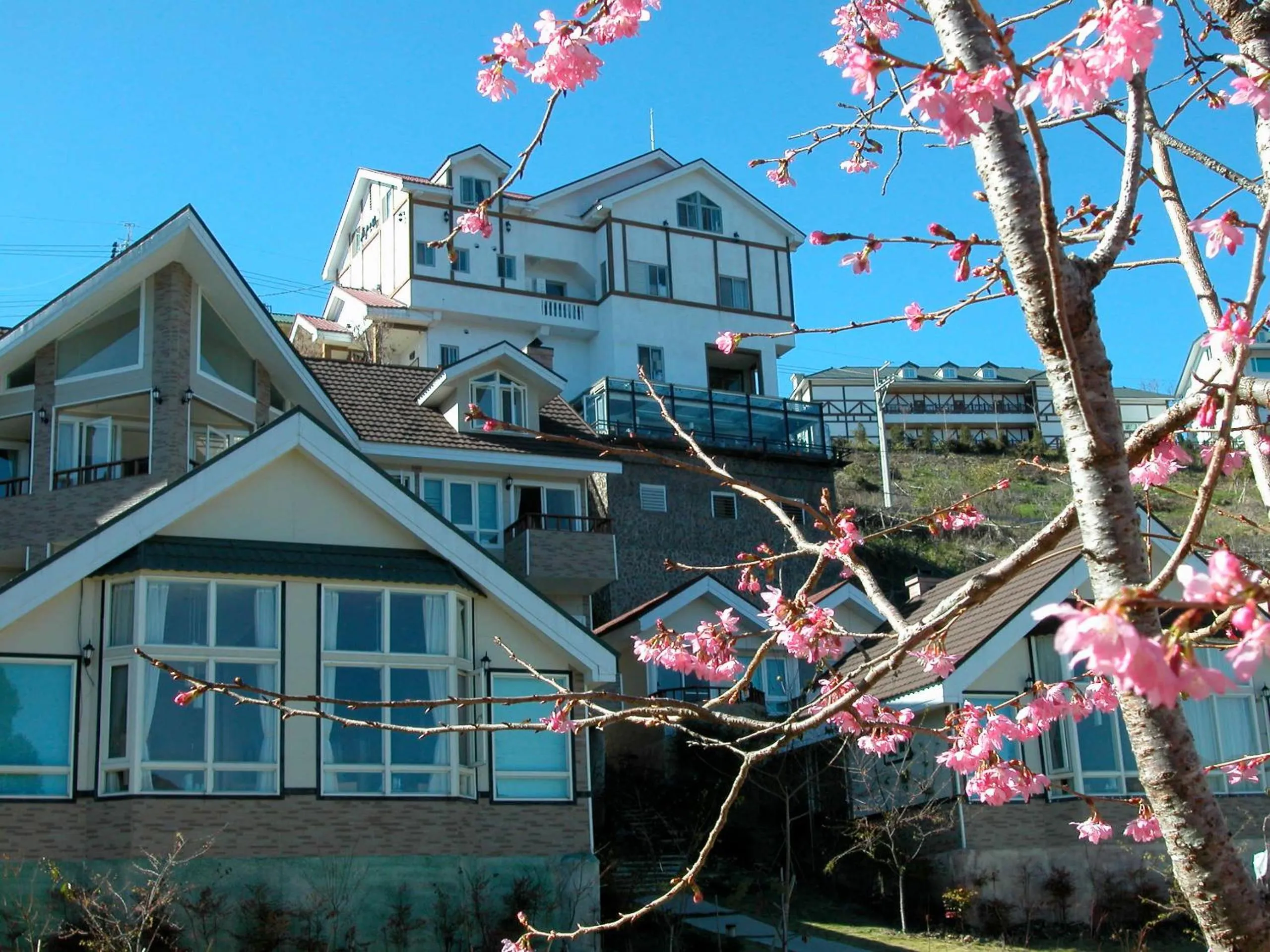 Neighbourhood in Dreamtown