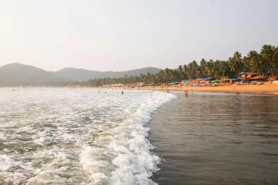 Beach in Club Palolem Resort