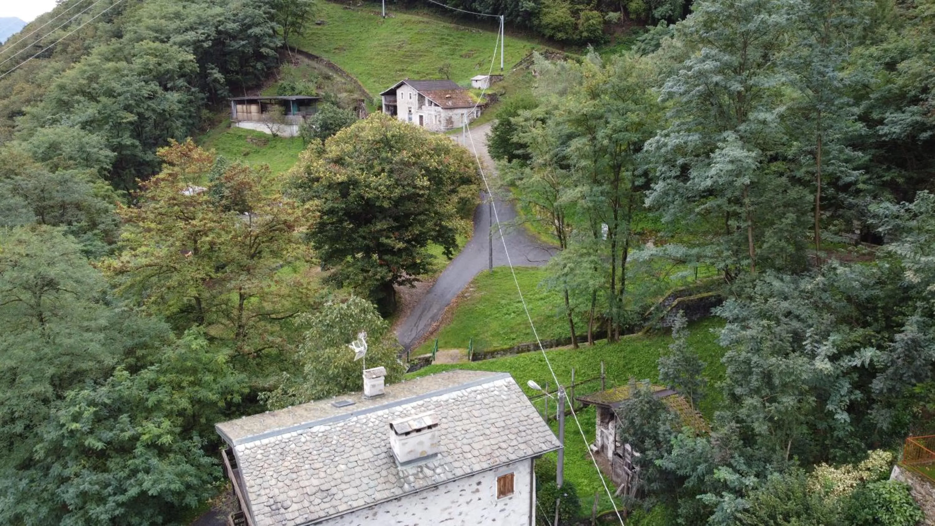 Other in B&B Al Carotin