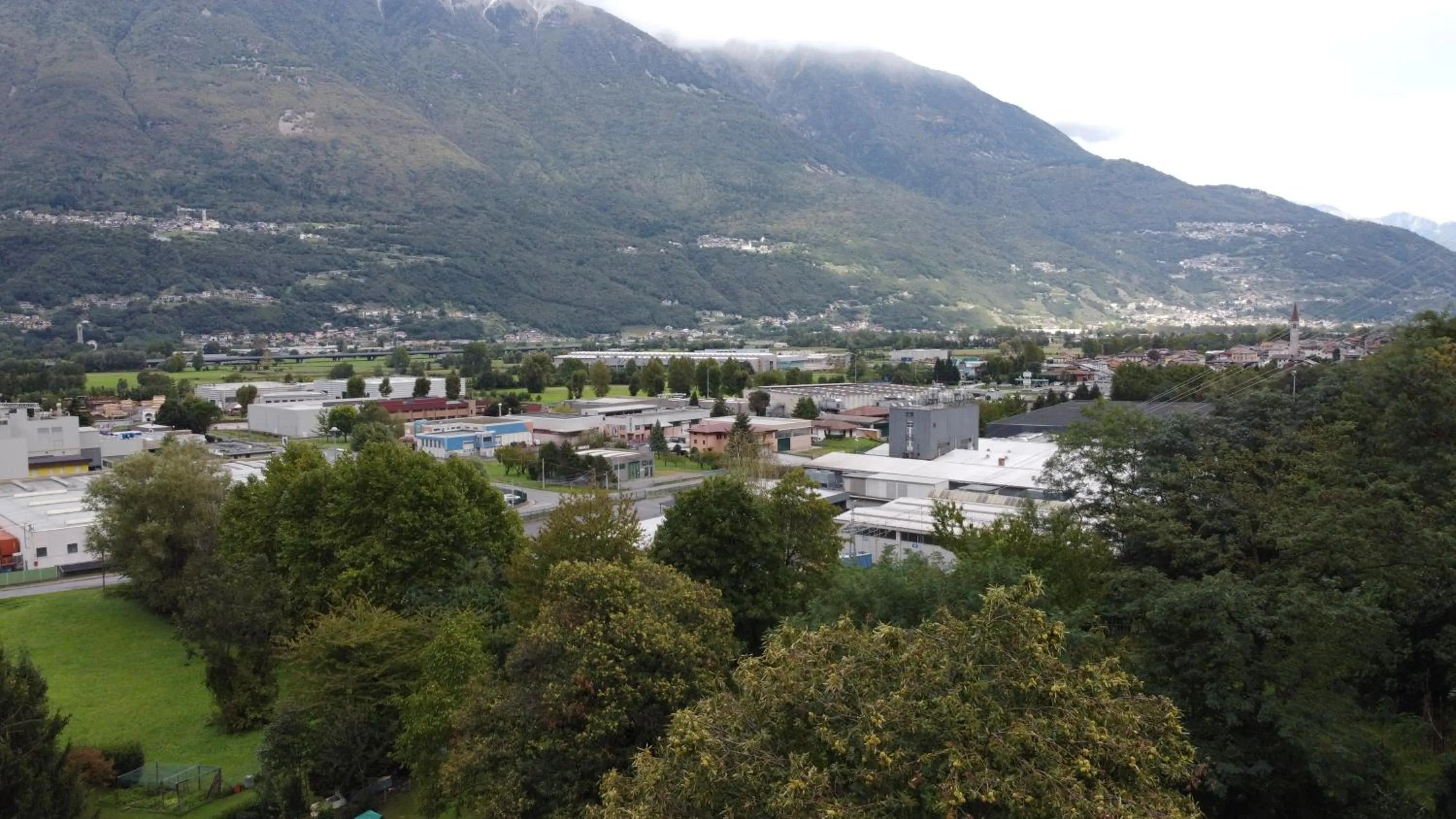 Other in B&B Al Carotin