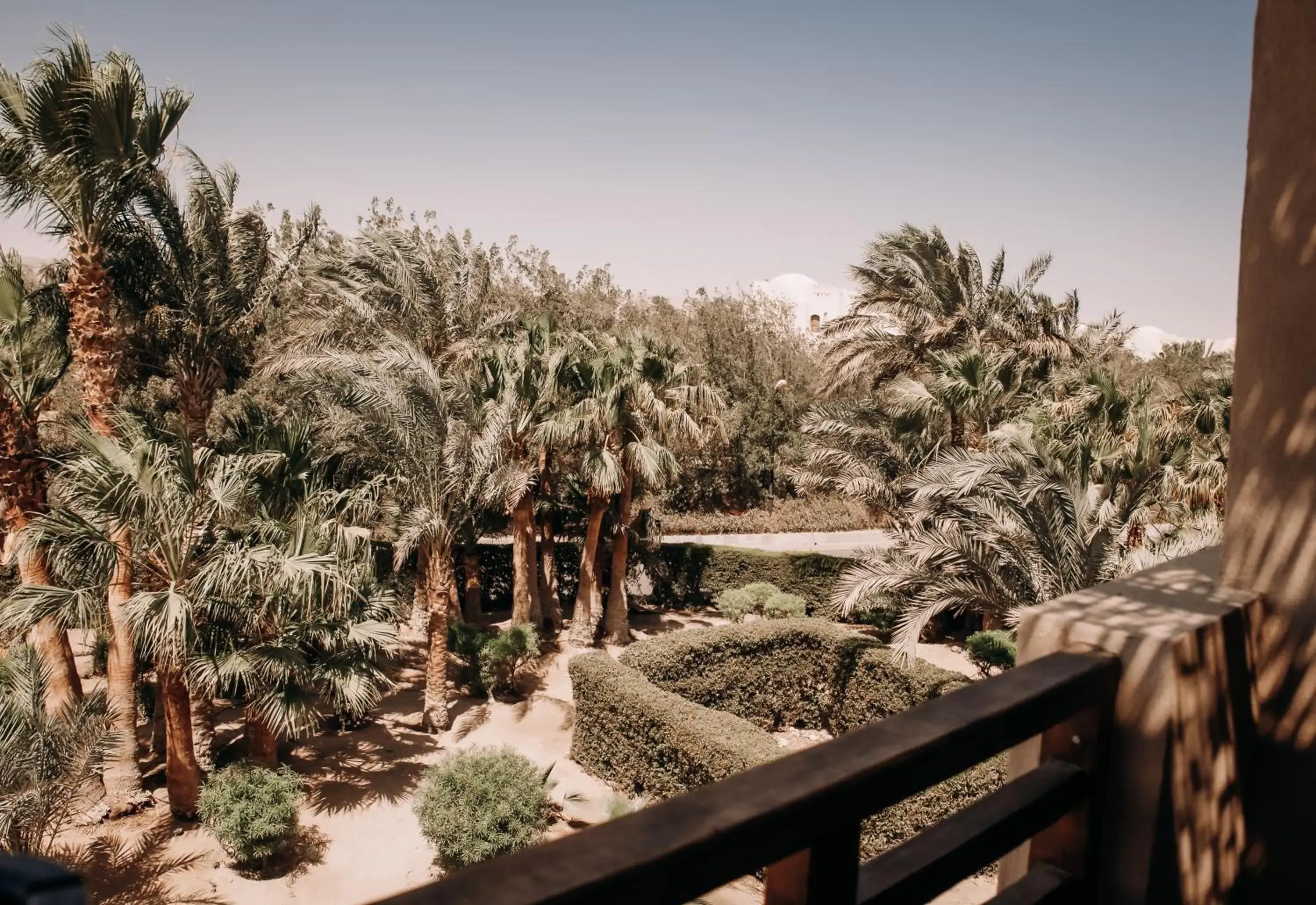 Standard Twin Room - single occupancy in Cook’s Club El Gouna (Adults Only) Standard Twin Room - single occupancy in Cook’s Club El Gouna (Adults Only)