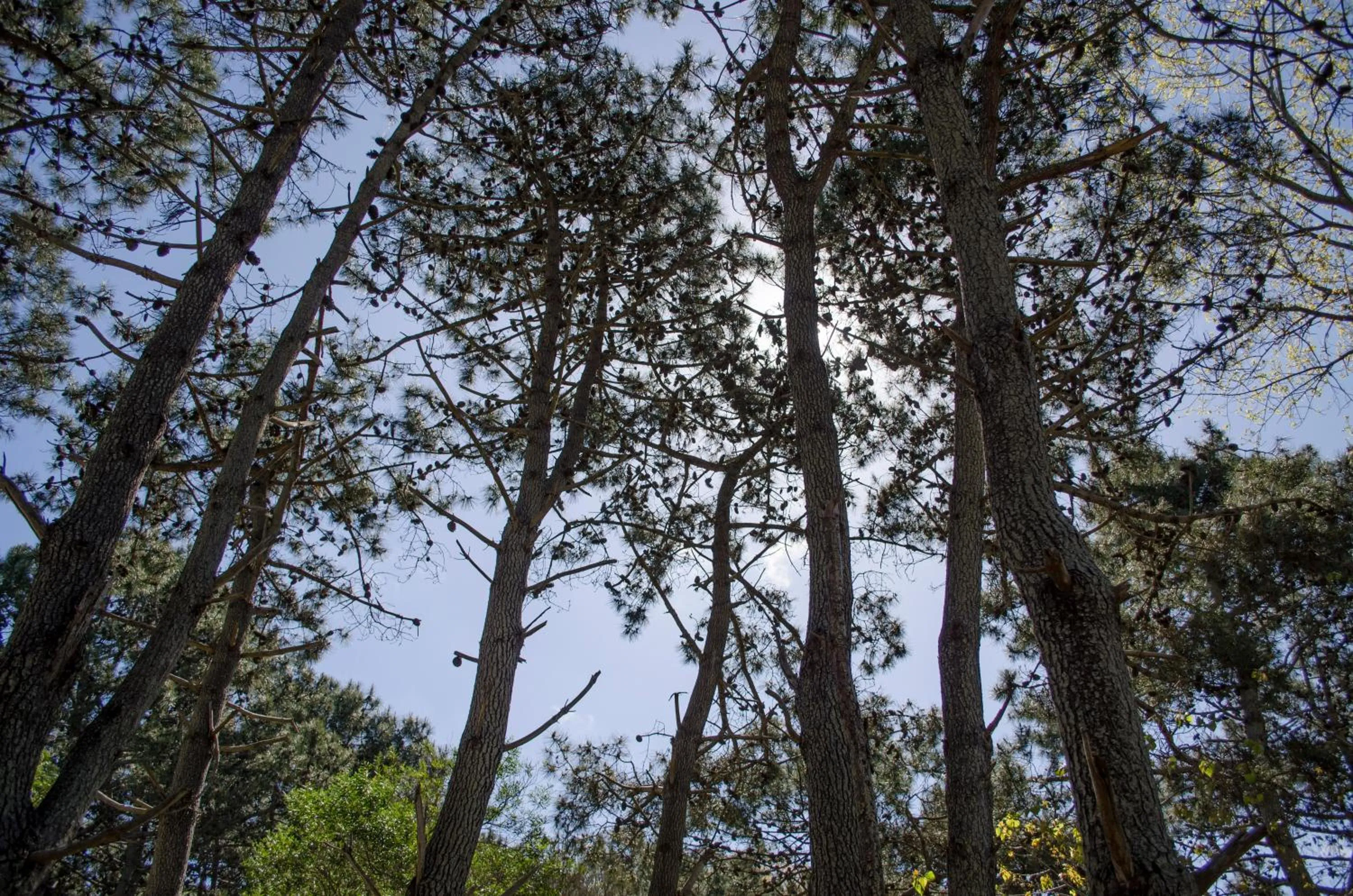 Nearby landmark in Almarena Apart & Hotel Boutique