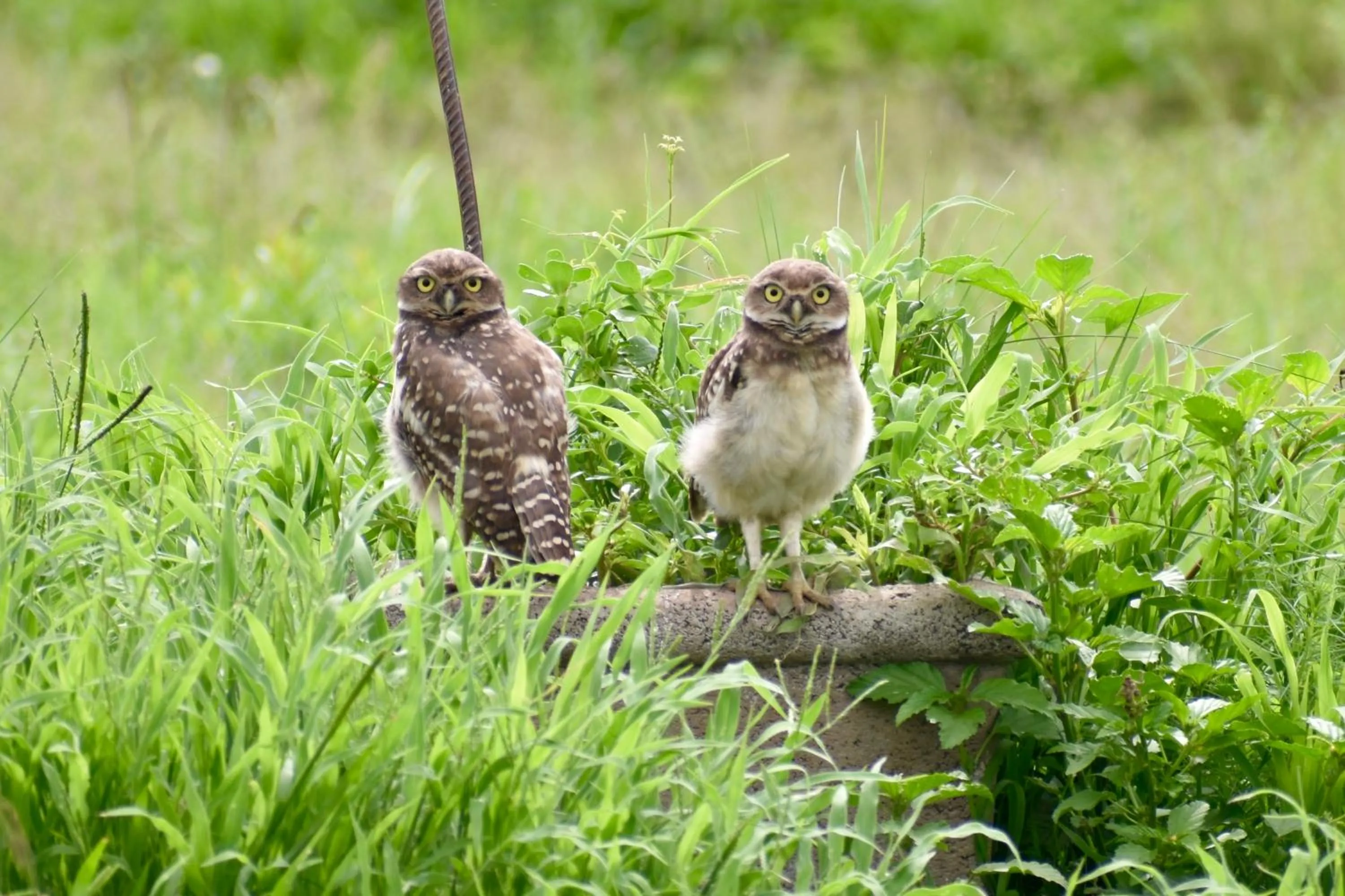 Posada Rural La Matilde