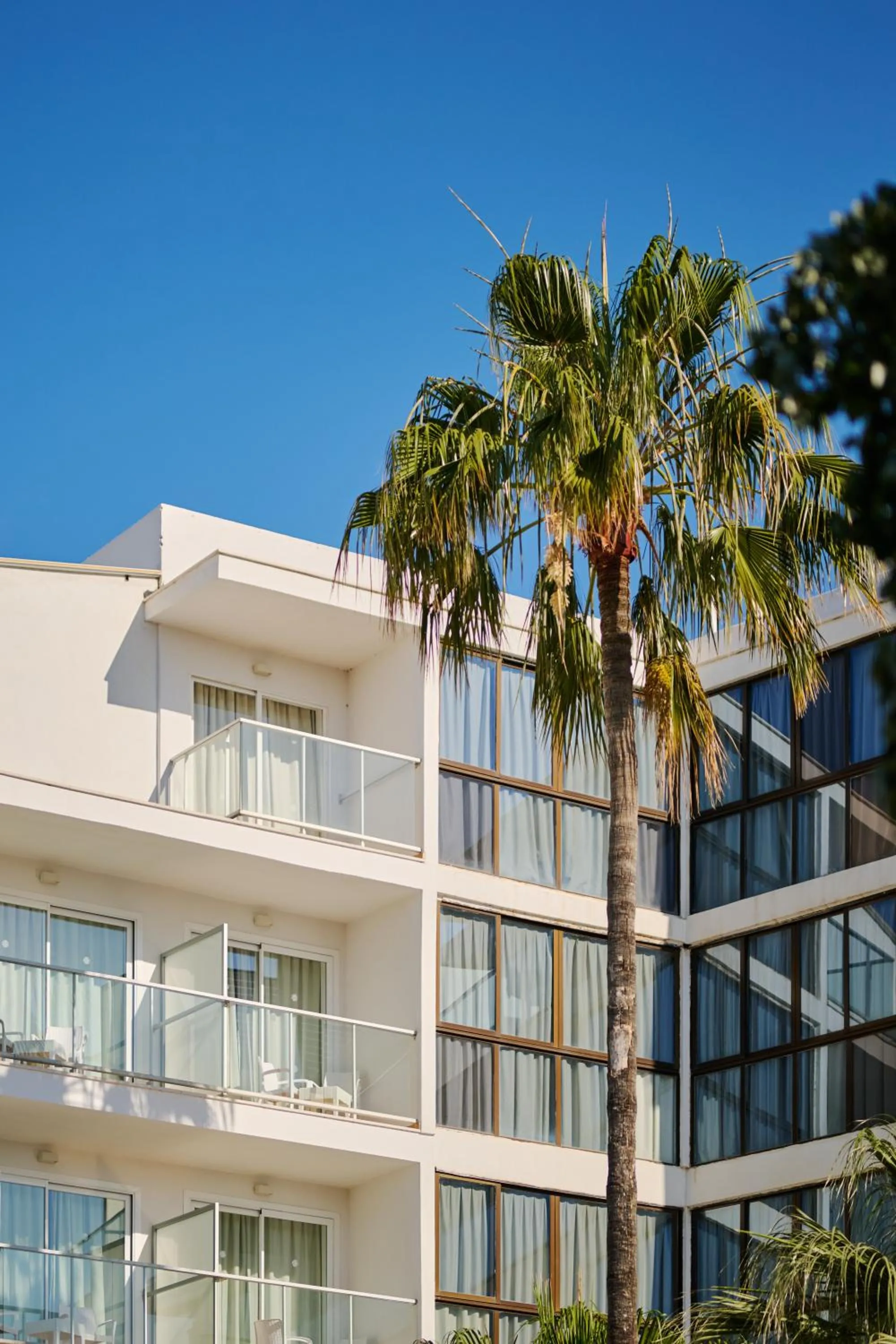 Property building in Alua Boccaccio