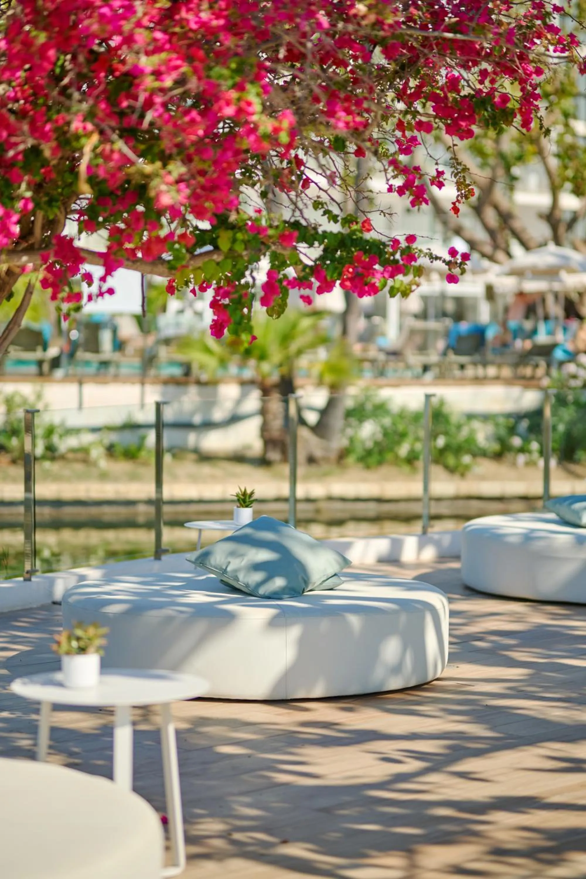 Seating area in Alua Boccaccio