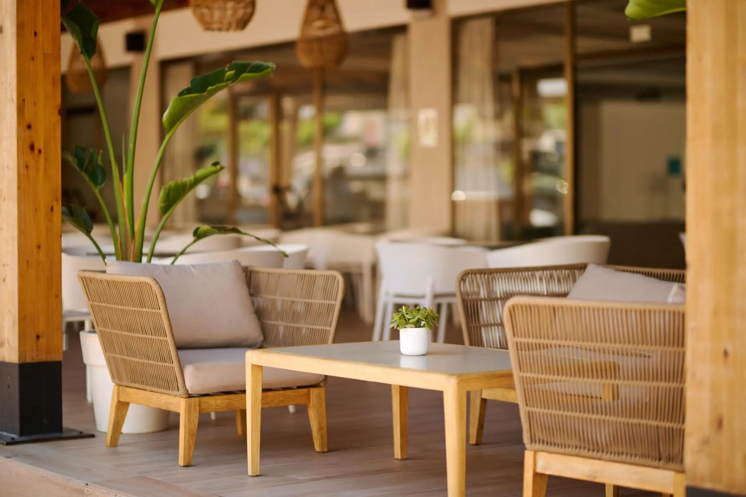 Restaurant/places to eat in Alua Boccaccio Restaurant/places to eat in Alua Boccaccio